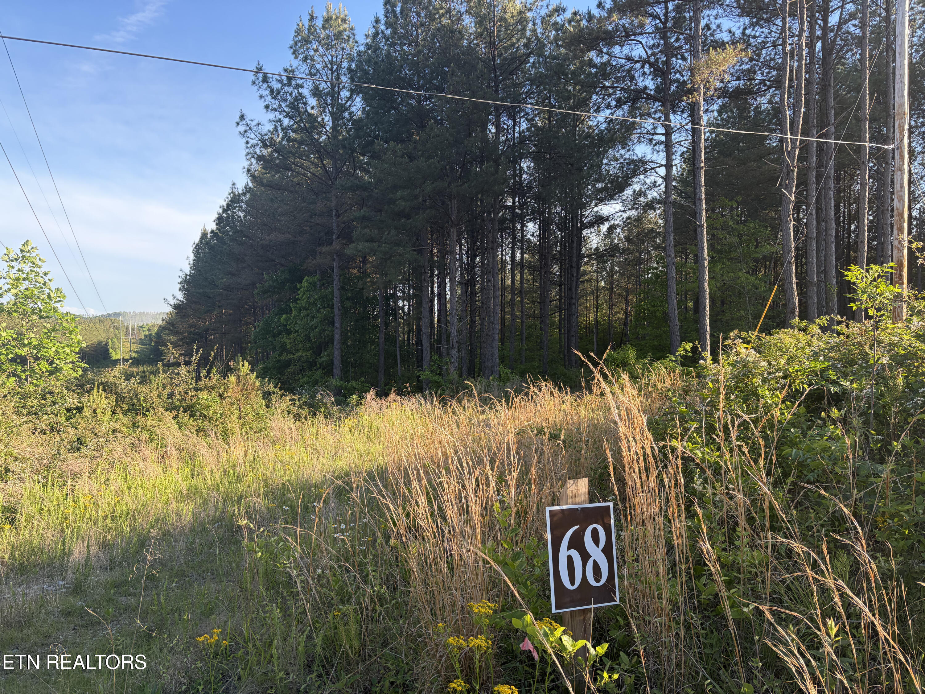 Lot 68 Black Bear Lane Sunbright TN 37872