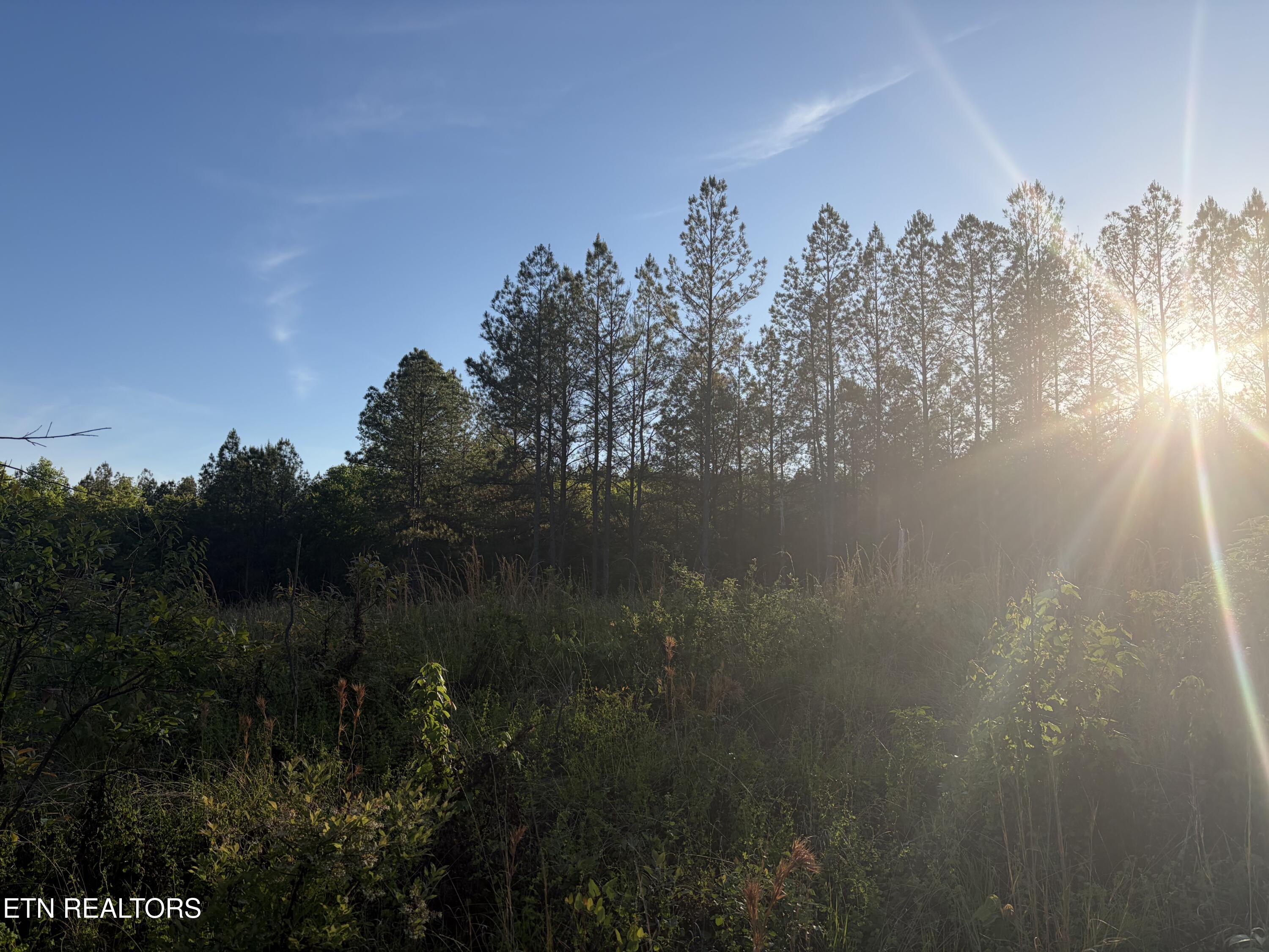 Lot 68 Black Bear Lane Sunbright TN 37872