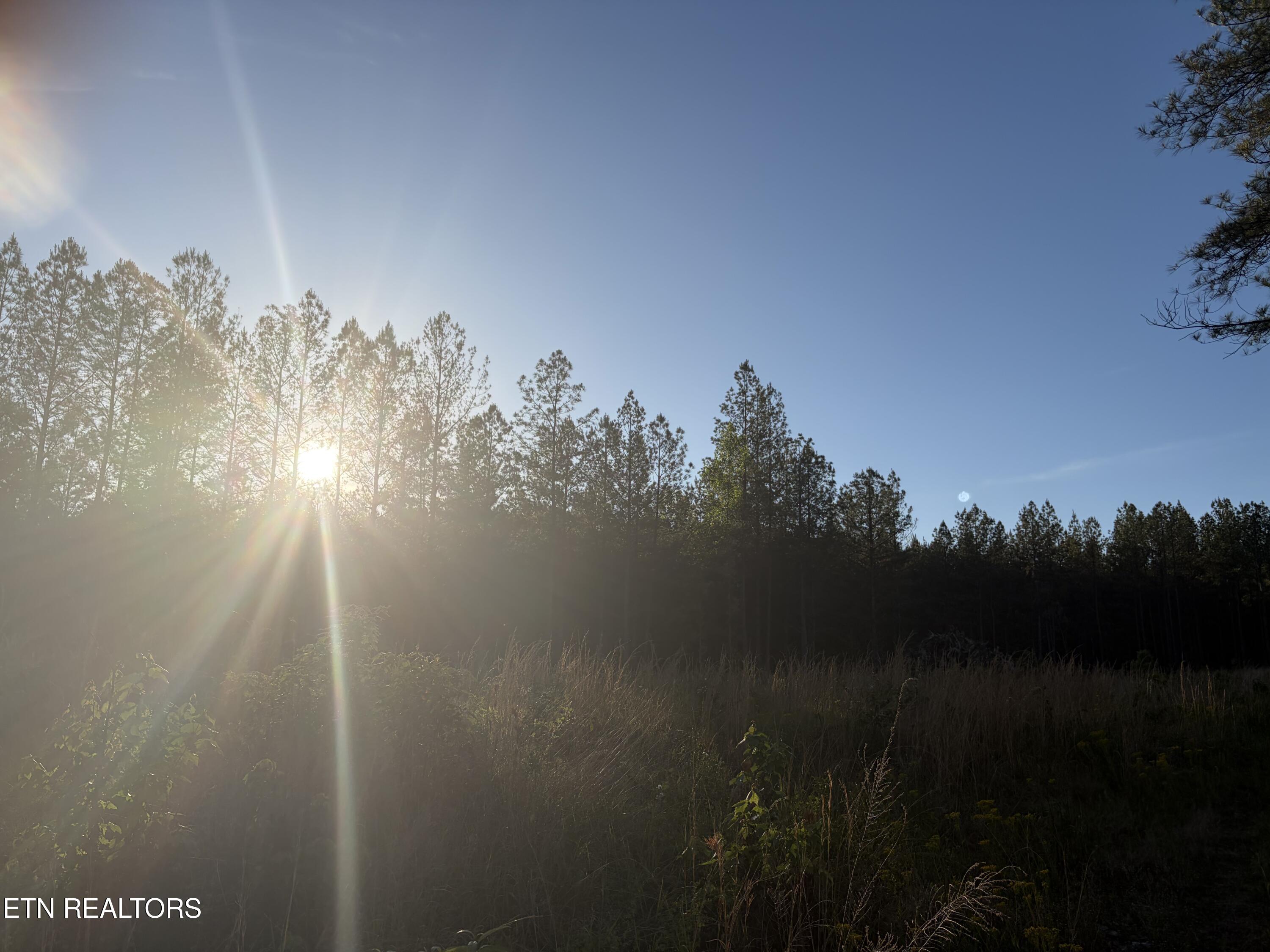 Lot 68 Black Bear Lane Sunbright TN 37872