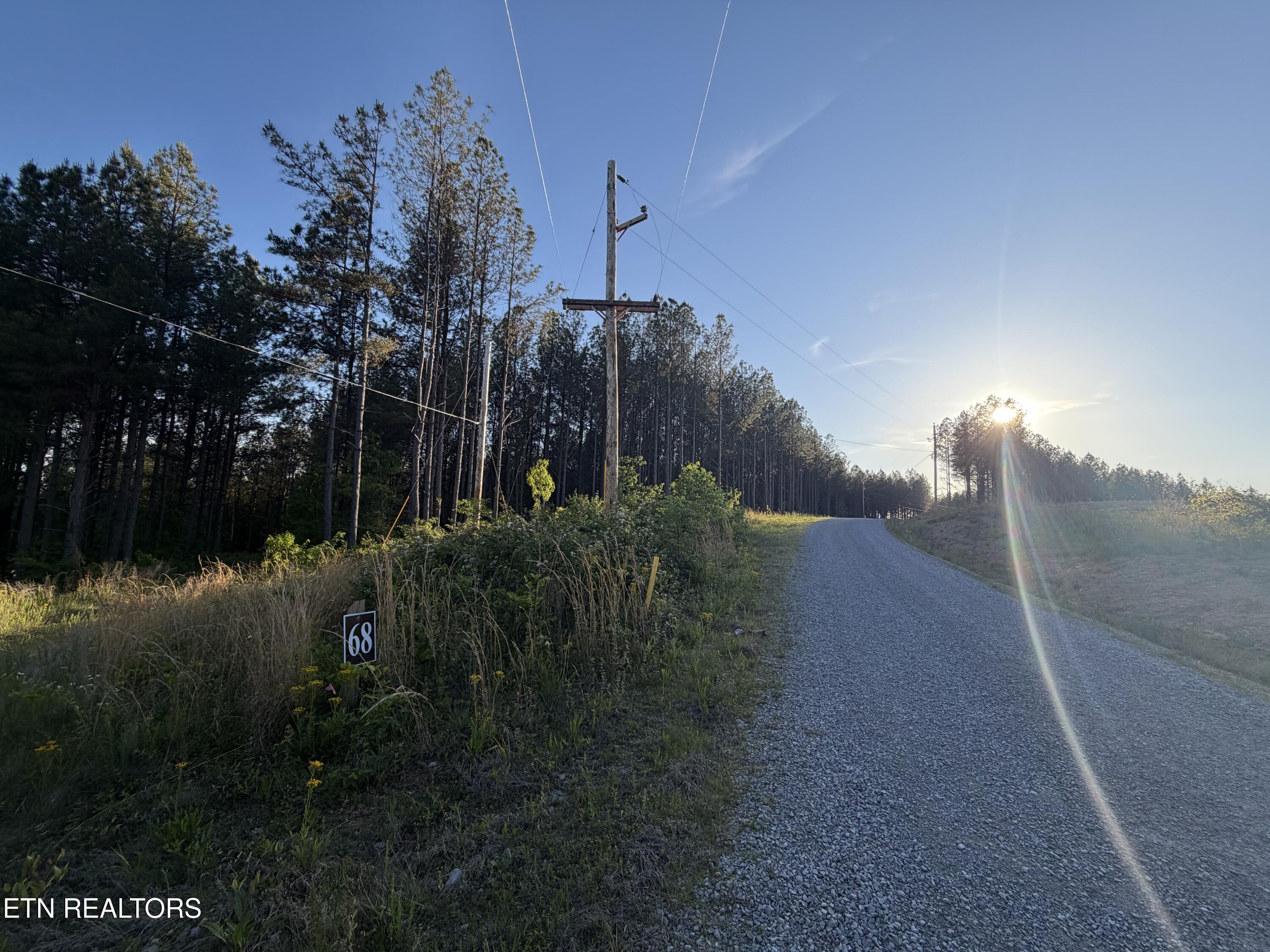 Lot 68 Black Bear Lane Sunbright TN 37872