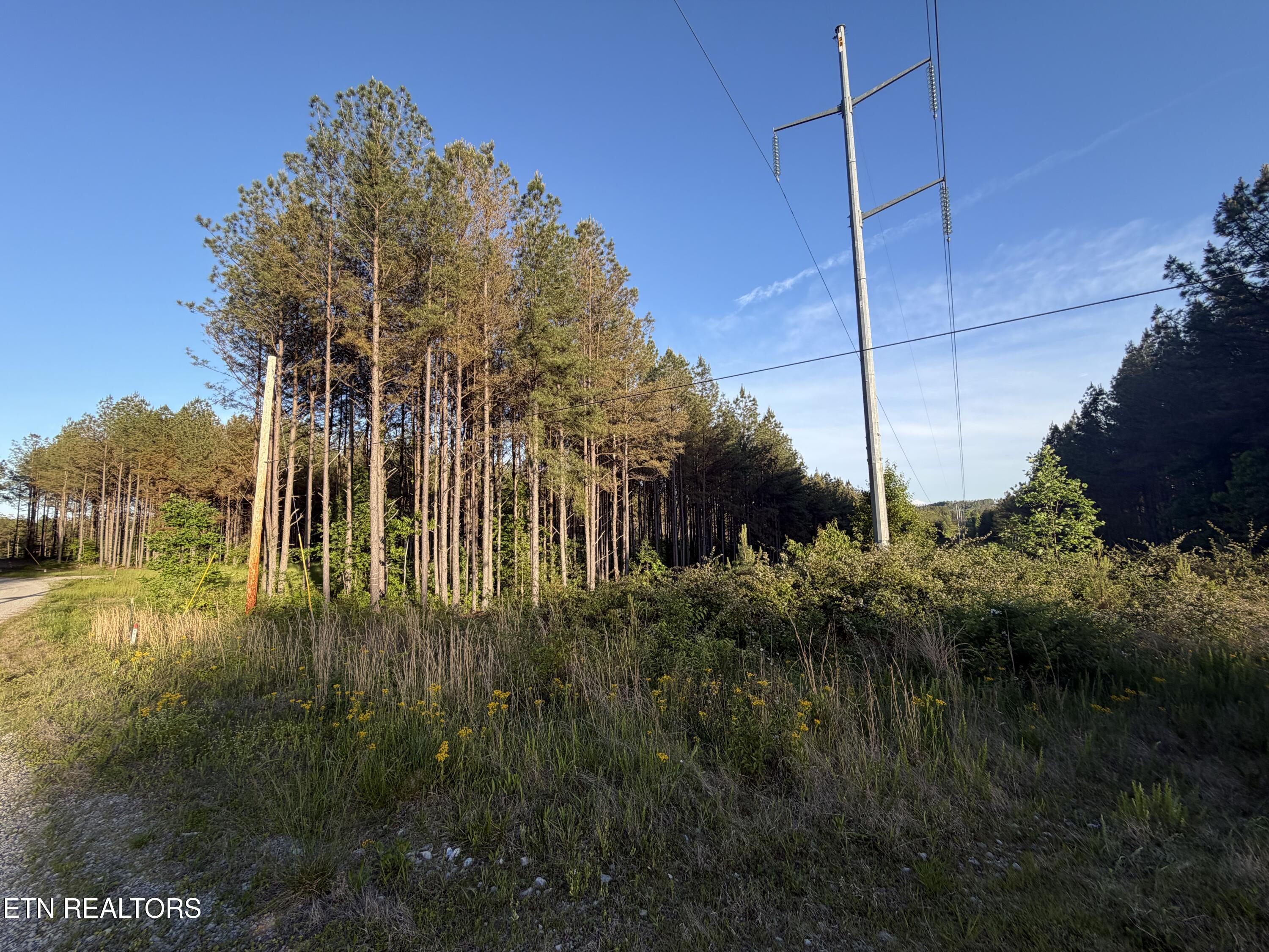Lot 68 Black Bear Lane Sunbright TN 37872
