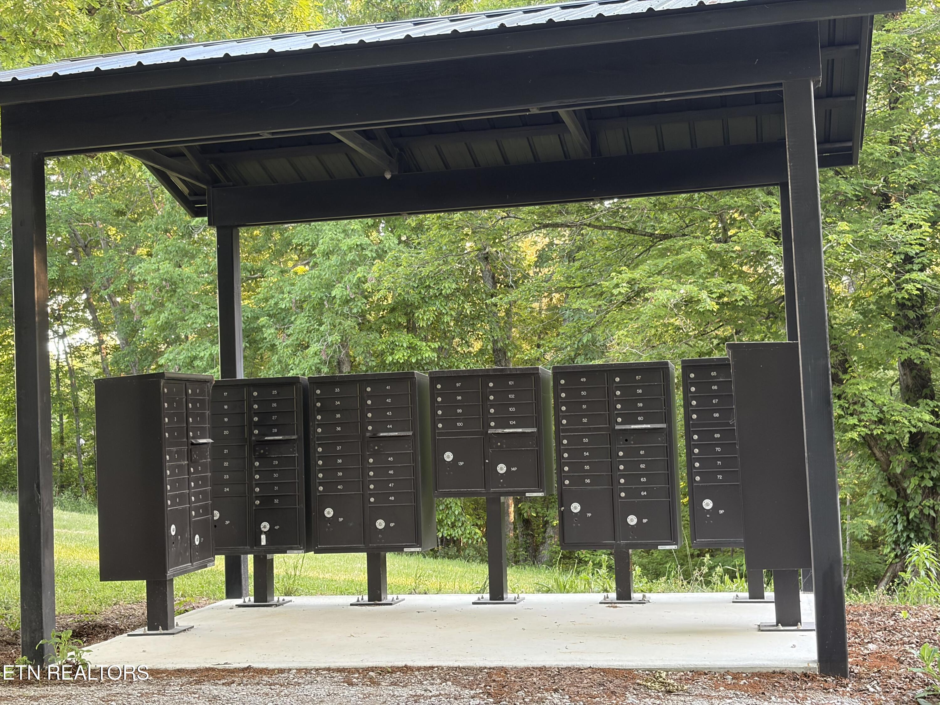 Lot 68 Black Bear Lane Sunbright TN 37872