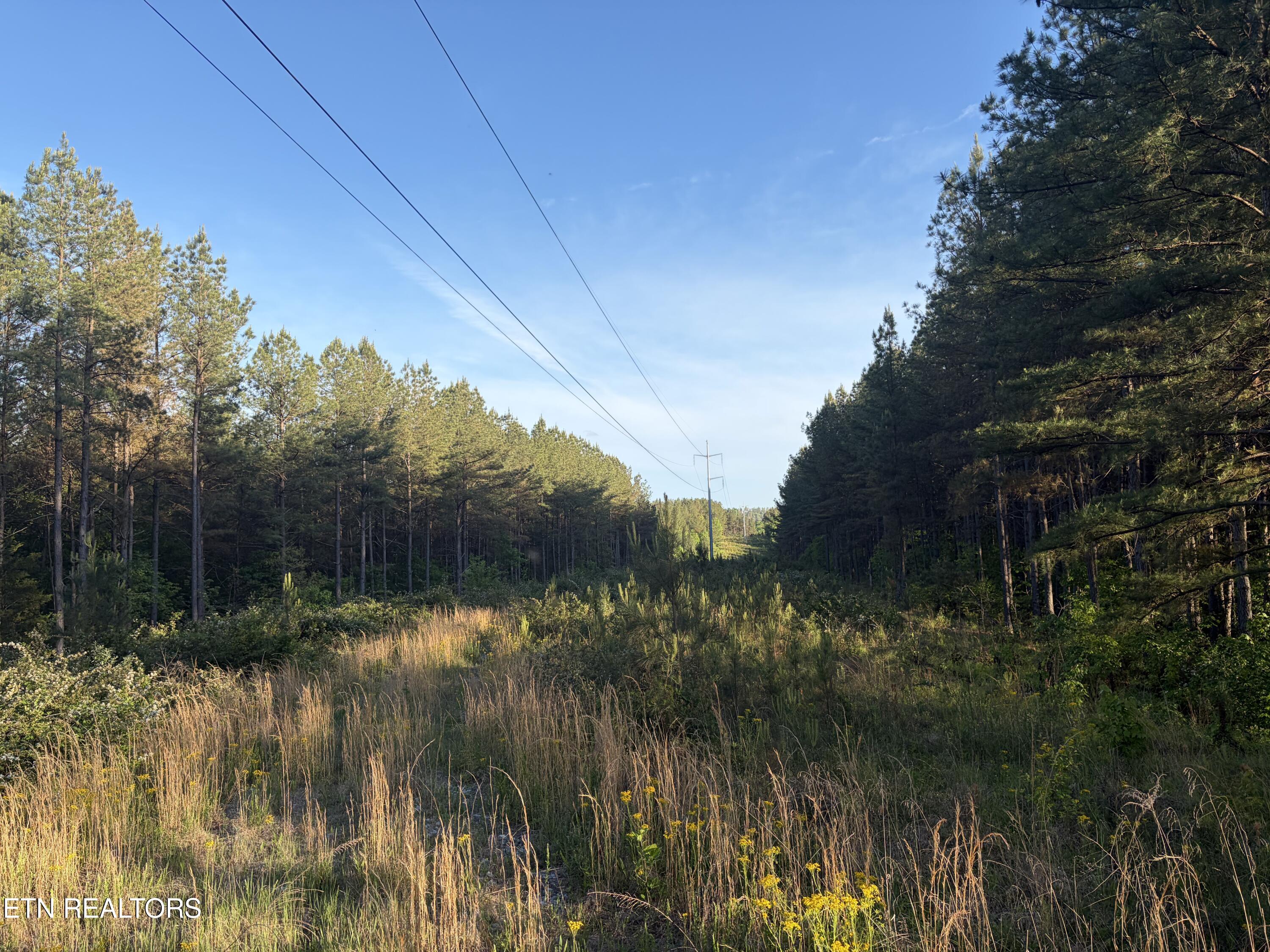 Lot 68 Black Bear Lane Sunbright TN 37872