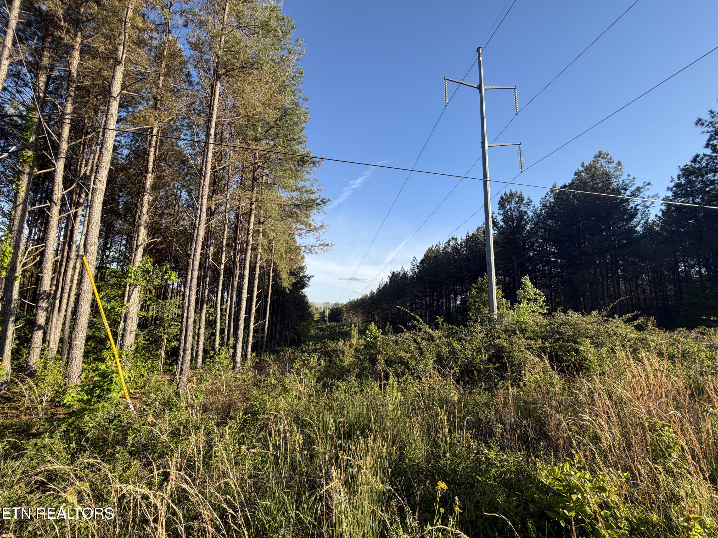 Lot 68 Black Bear Lane Sunbright TN 37872