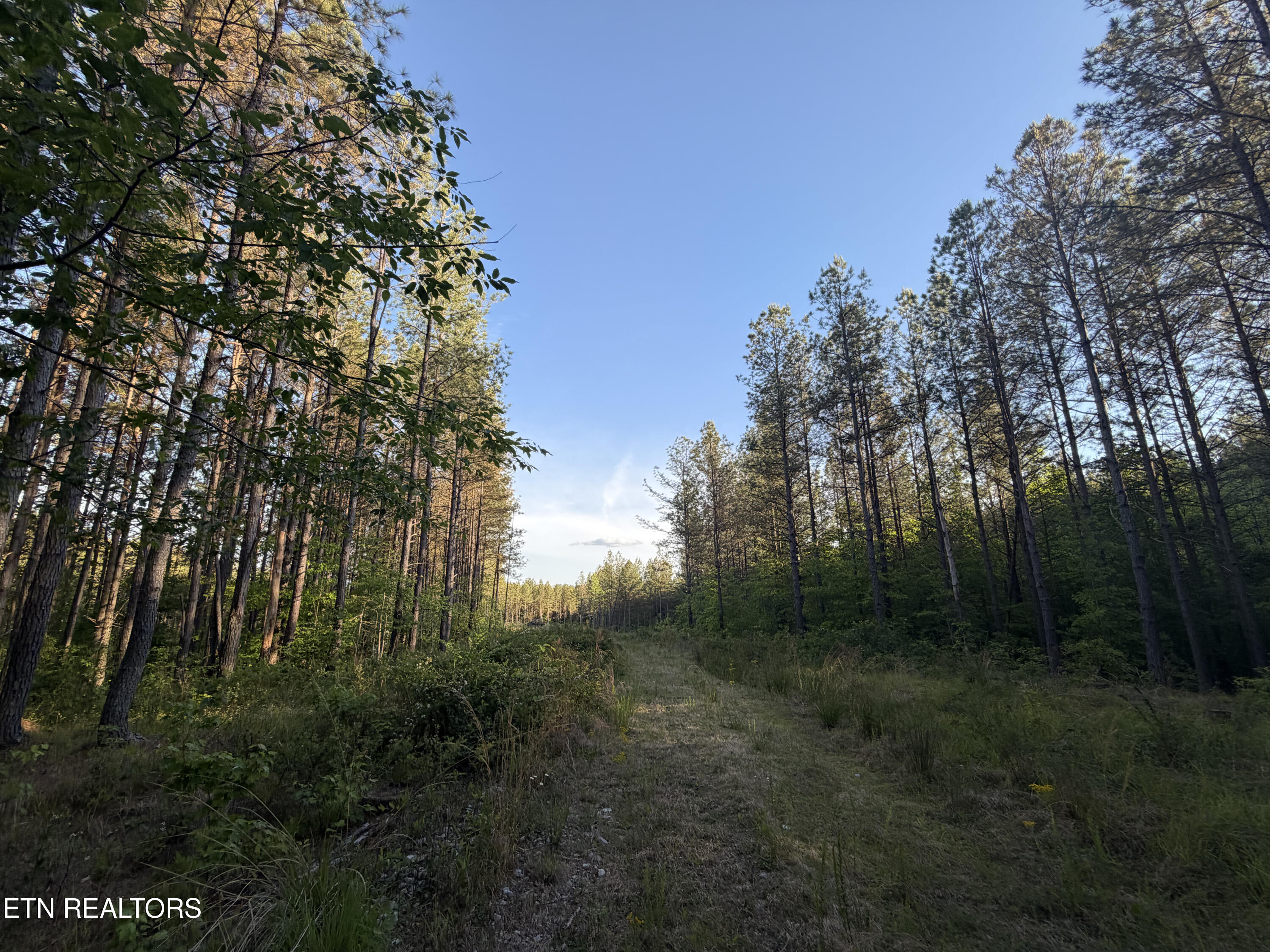 Lot 68 Black Bear Lane Sunbright TN 37872