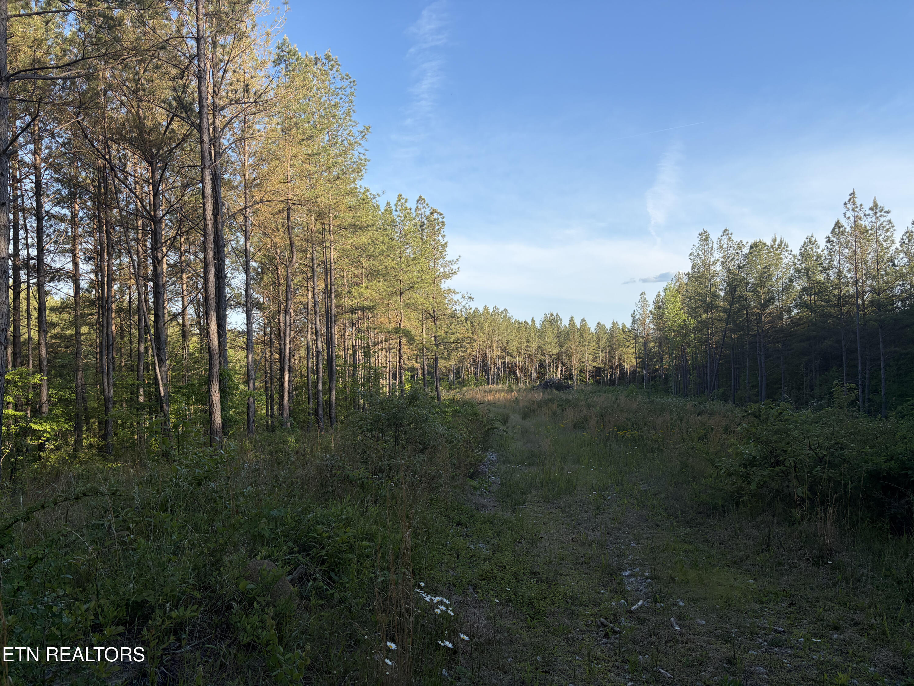 Lot 68 Black Bear Lane Sunbright TN 37872