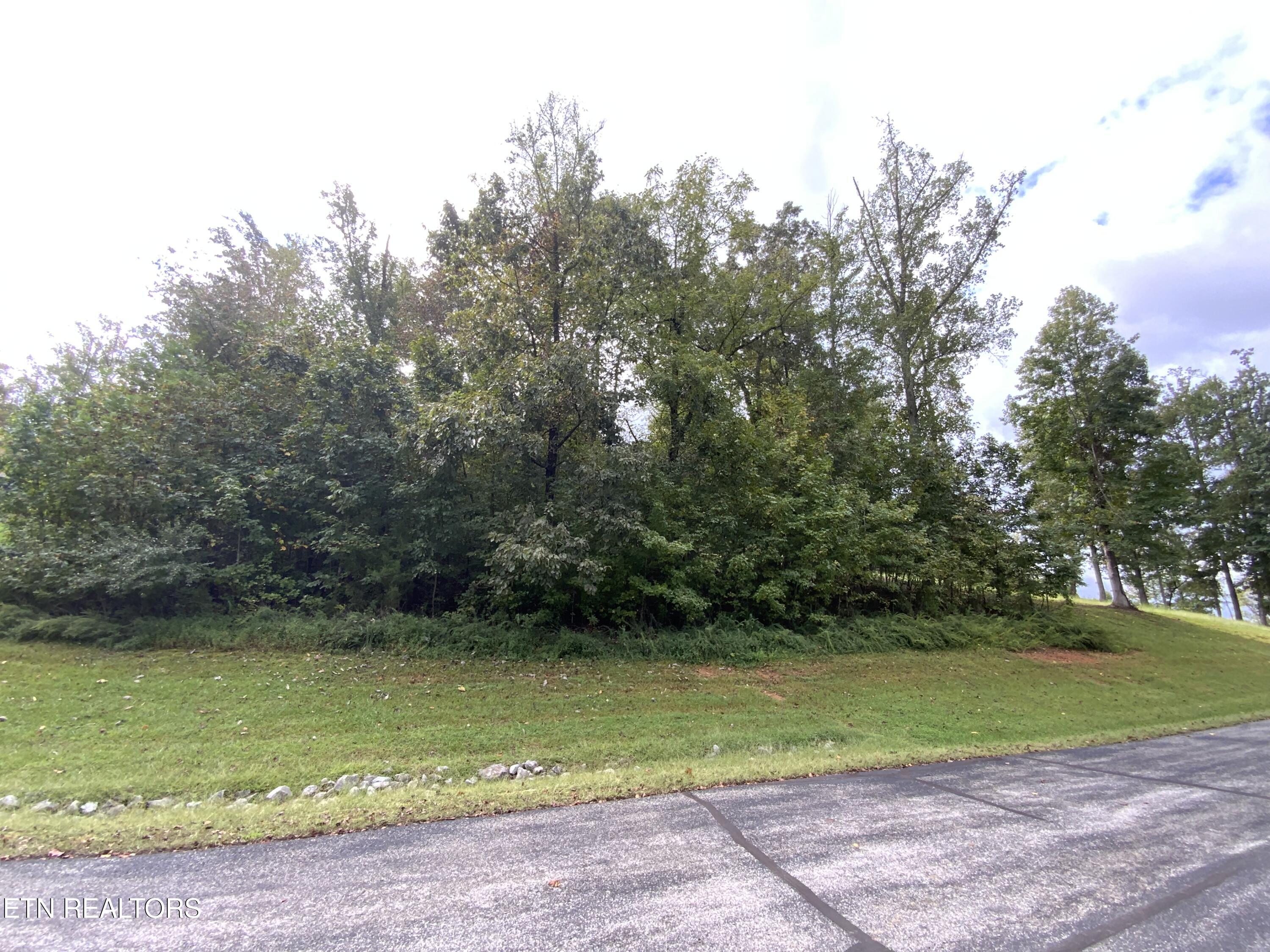 368 Walking Horse Trail Rockwood TN 37854