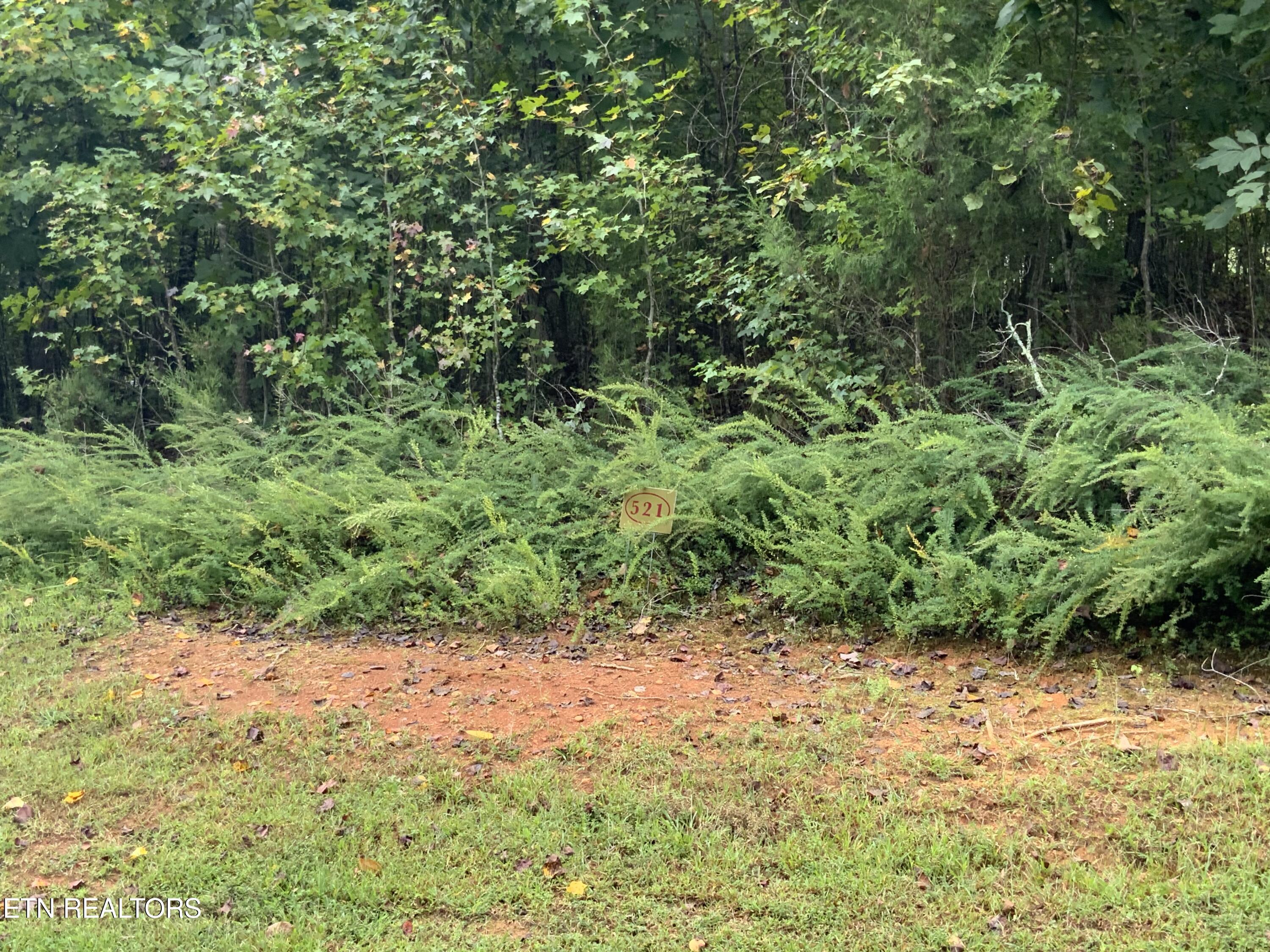 368 Walking Horse Trail Rockwood TN 37854