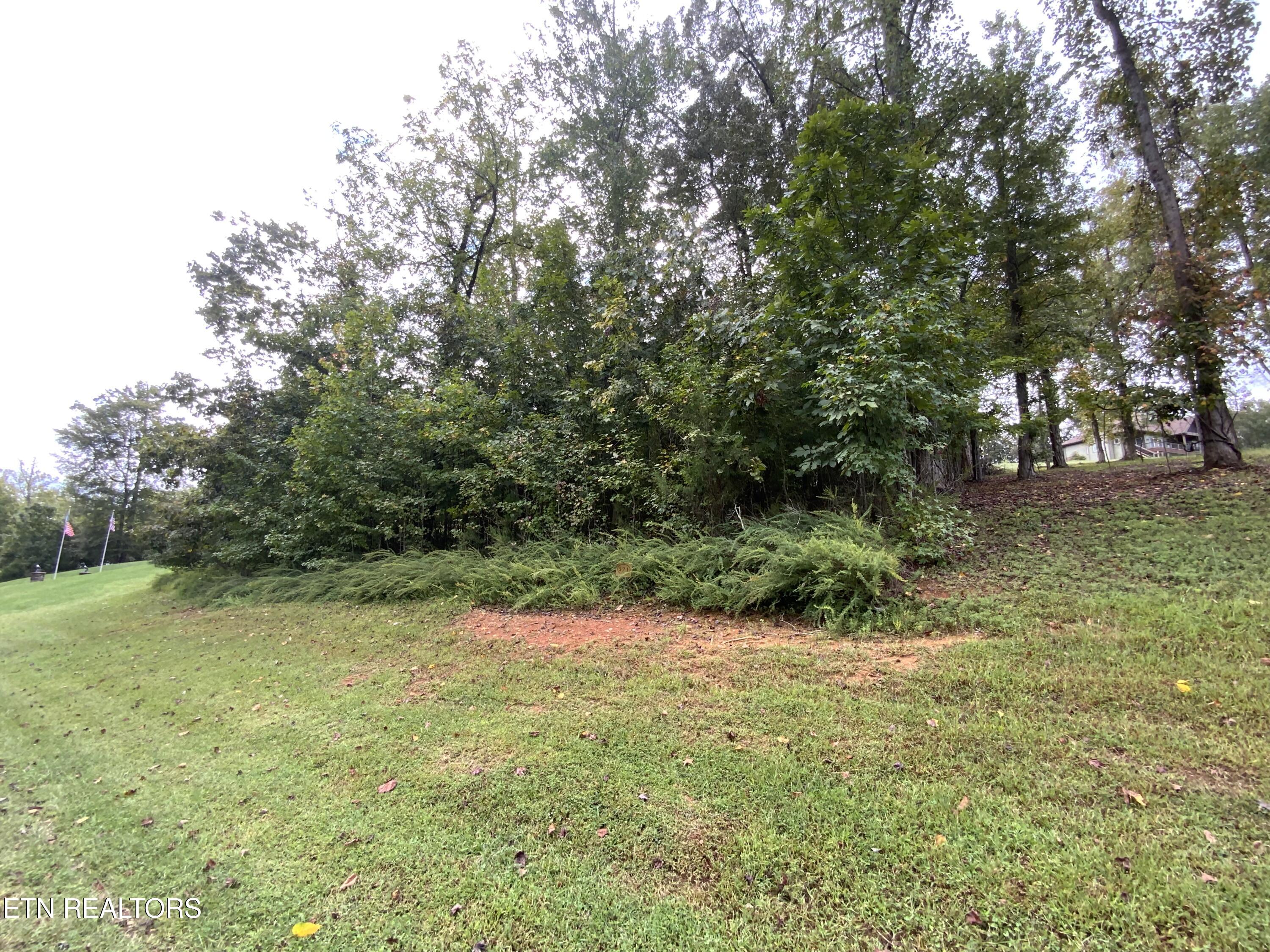 368 Walking Horse Trail Rockwood TN 37854