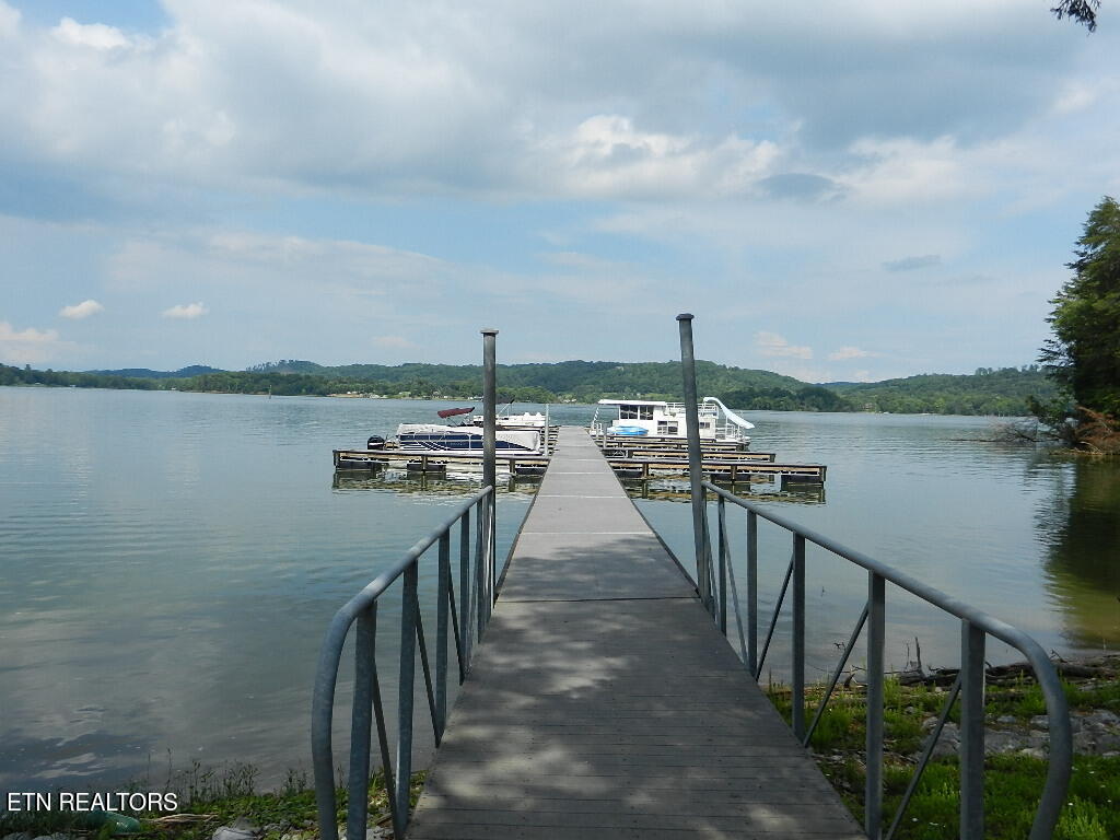 368 Walking Horse Trail Rockwood TN 37854