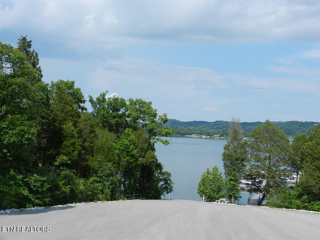 368 Walking Horse Trail Rockwood TN 37854