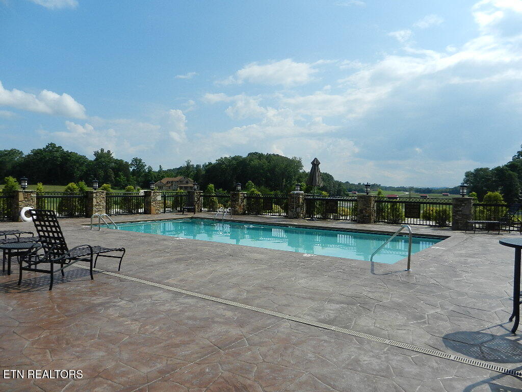 368 Walking Horse Trail Rockwood TN 37854