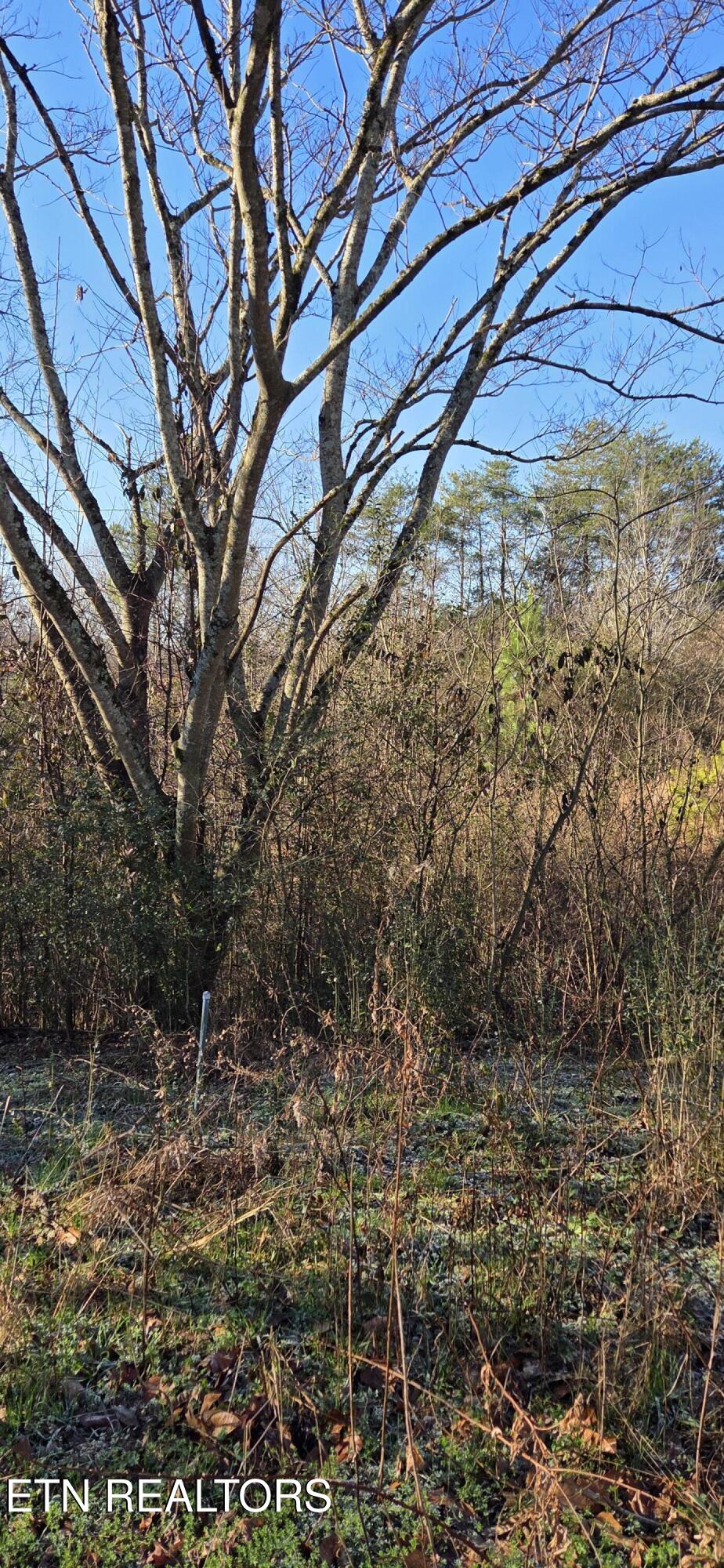 Lot 3 Sugar Maple Court Madisonville TN 37354