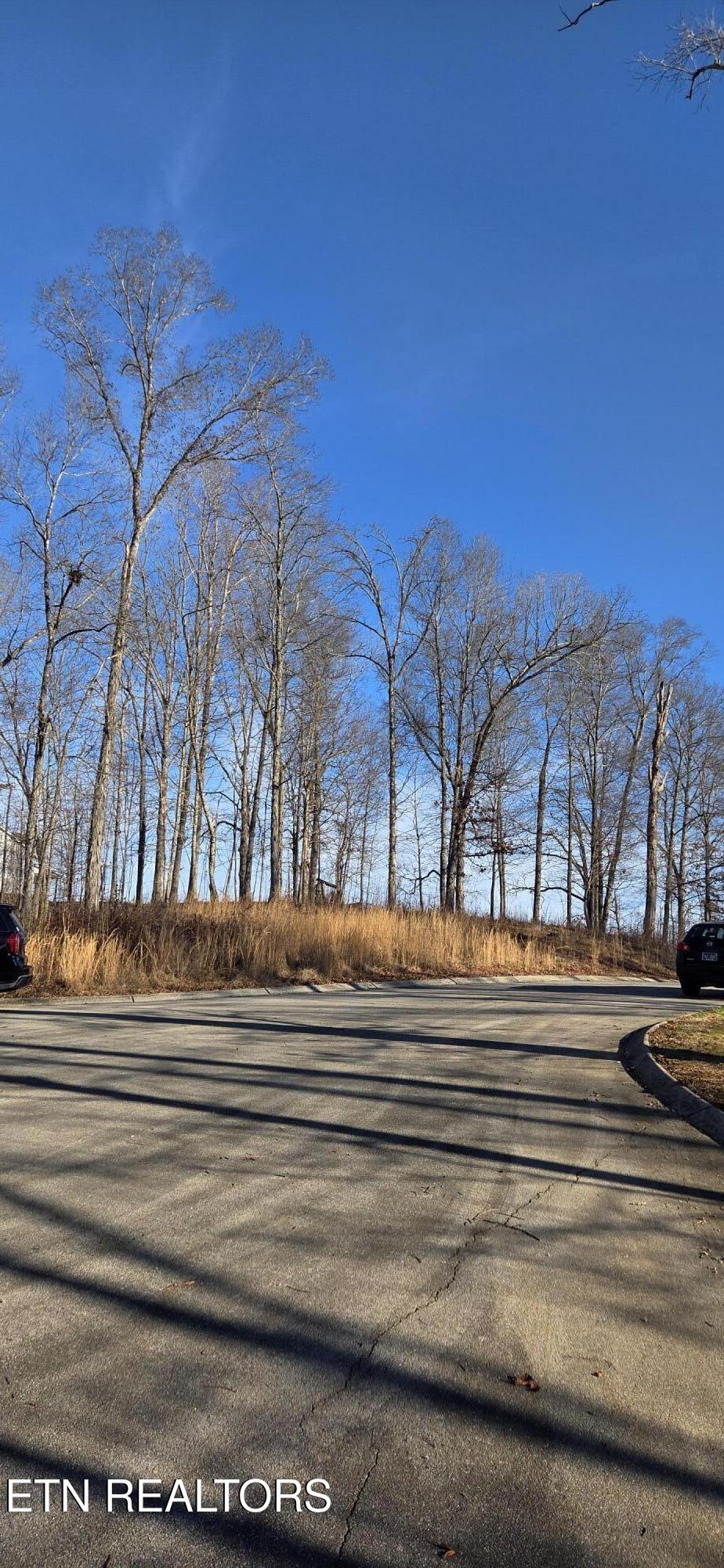 Lot 3 Sugar Maple Court Madisonville TN 37354