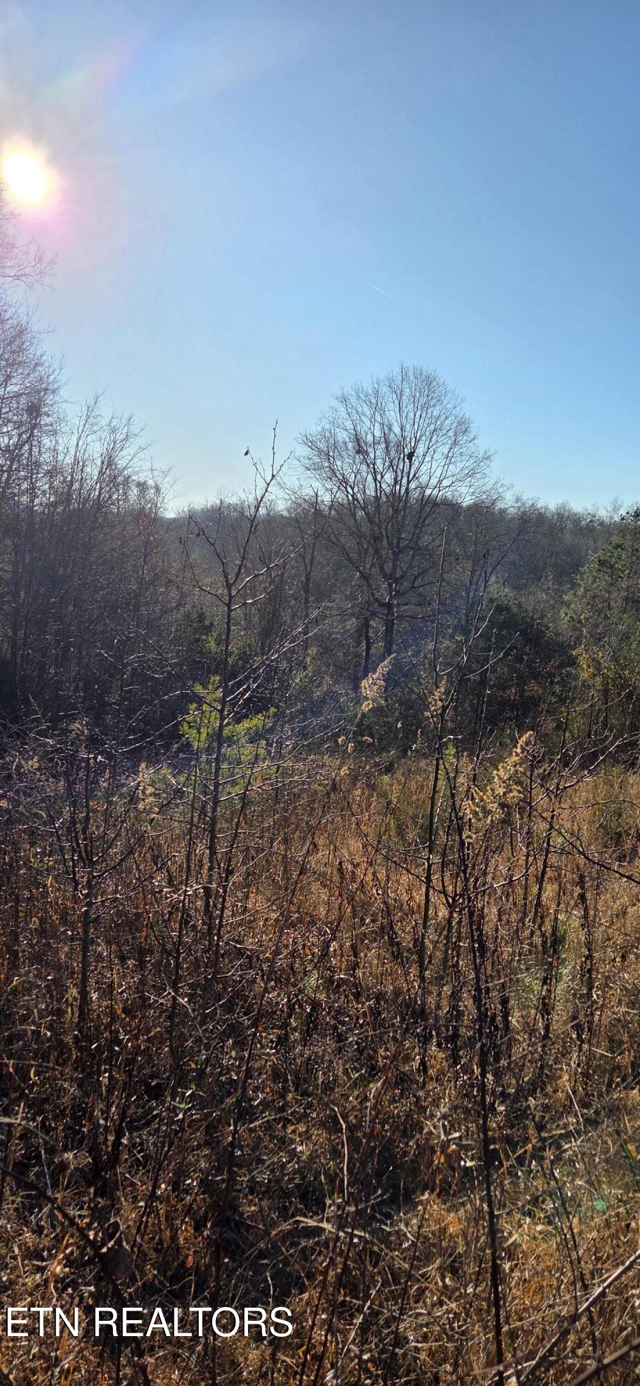 Lot 3 Sugar Maple Court Madisonville TN 37354