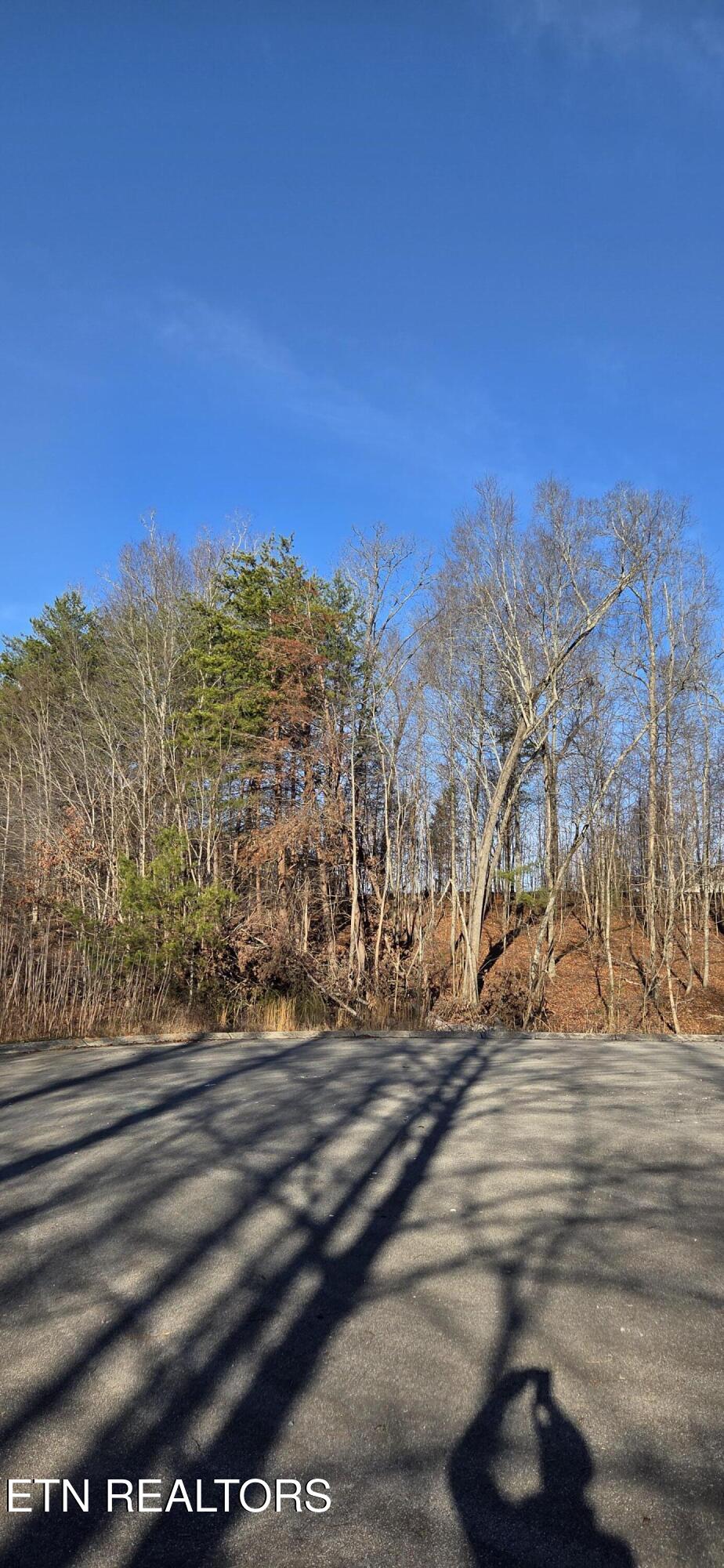 Lot 3 Sugar Maple Court Madisonville TN 37354