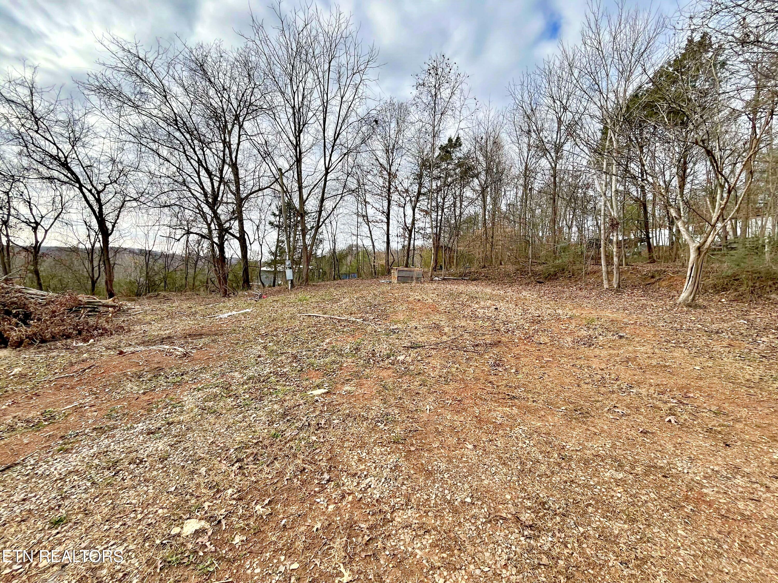 110 Pinecrest Drive Loudon TN 37774