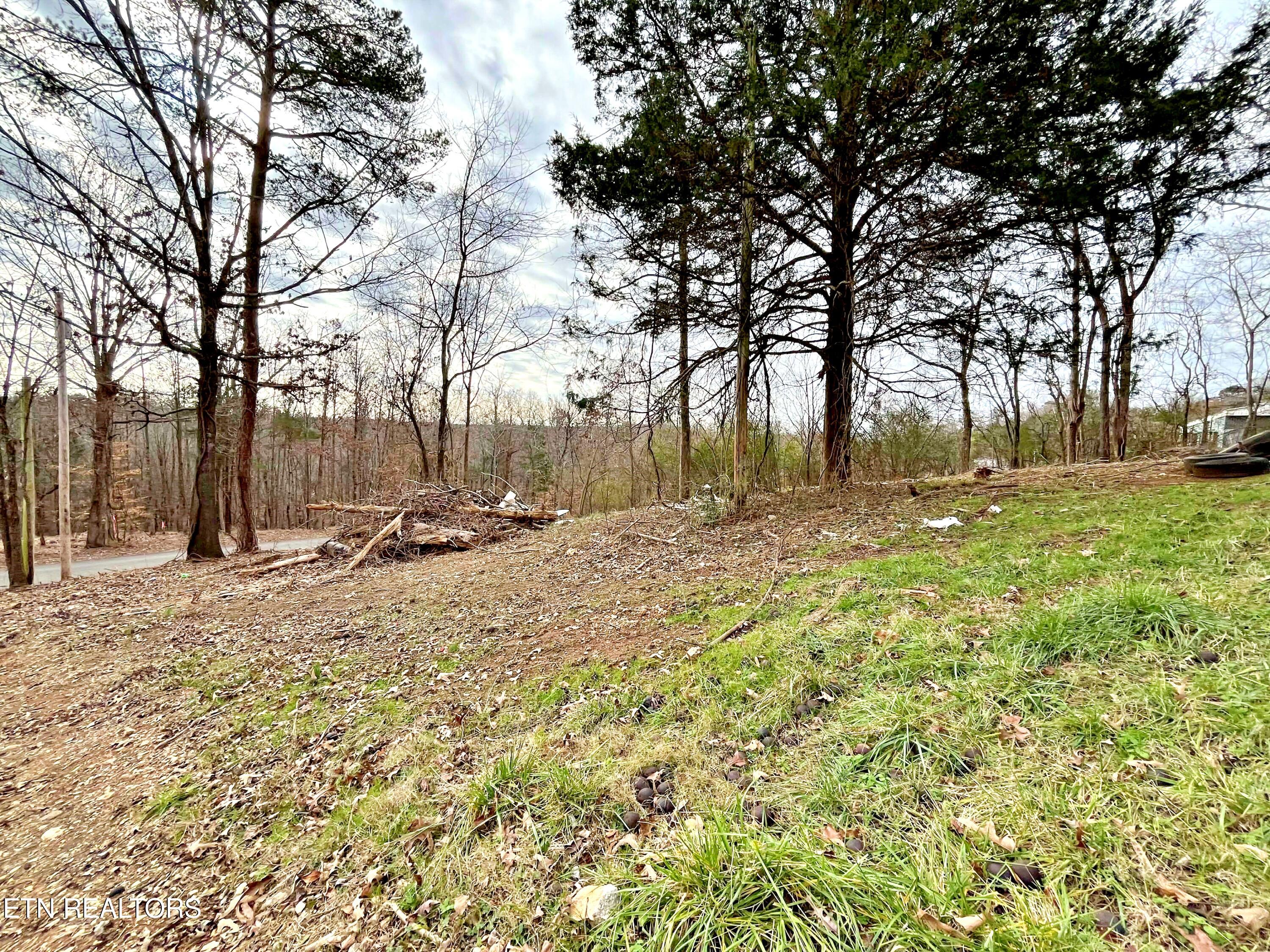 110 Pinecrest Drive Loudon TN 37774