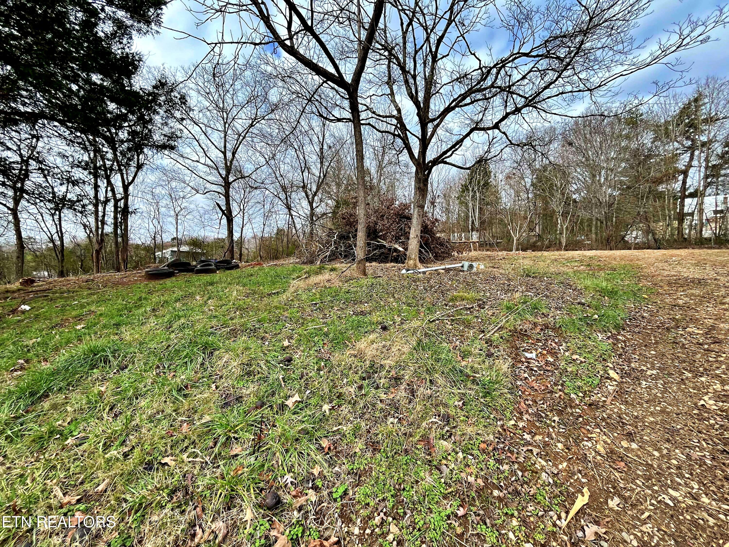 110 Pinecrest Drive Loudon TN 37774
