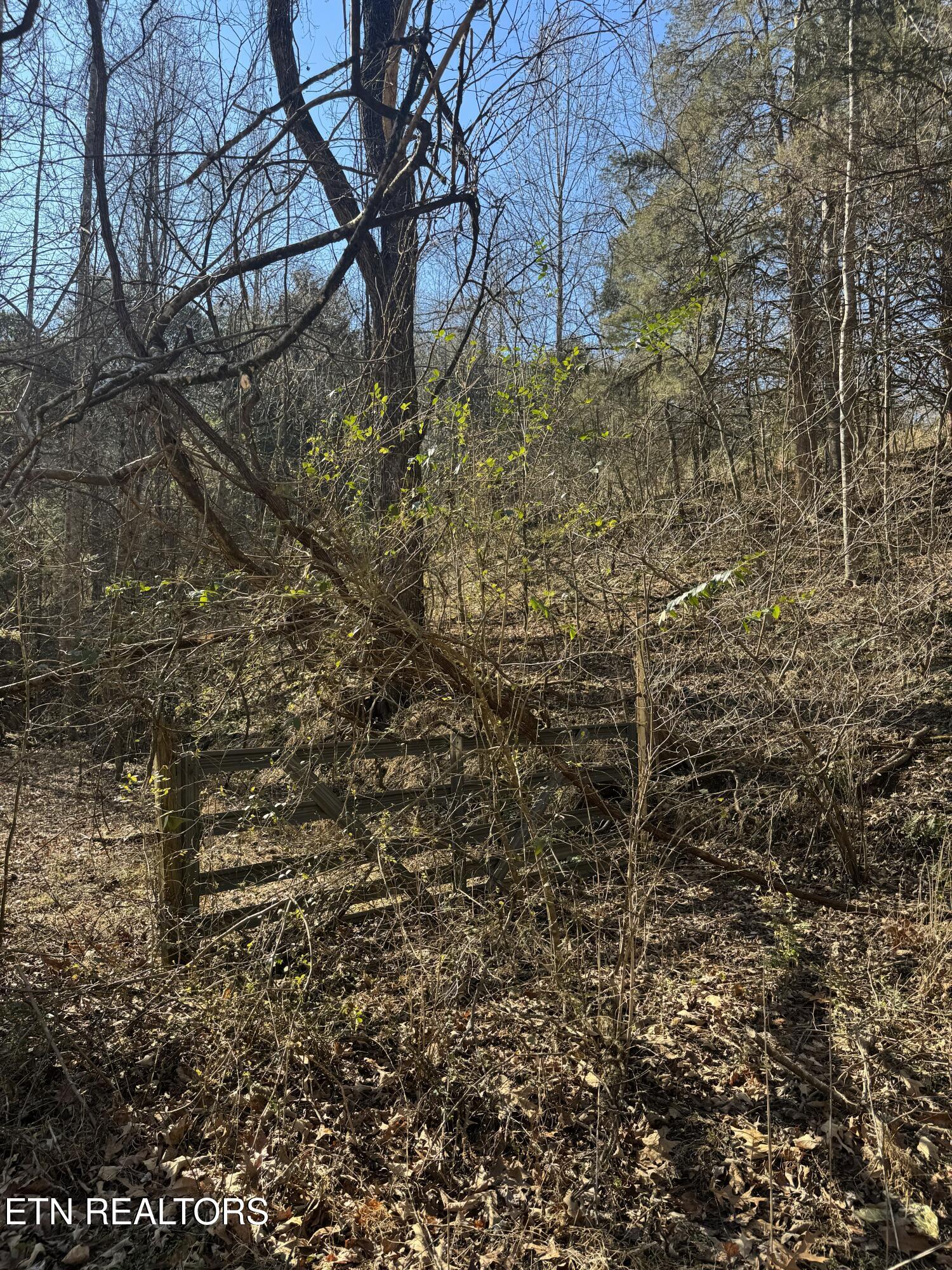 Molly Hollow Road New Tazewell TN 37825