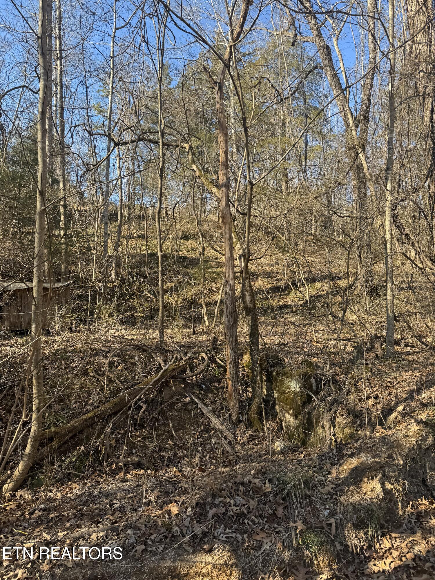 Molly Hollow Road New Tazewell TN 37825