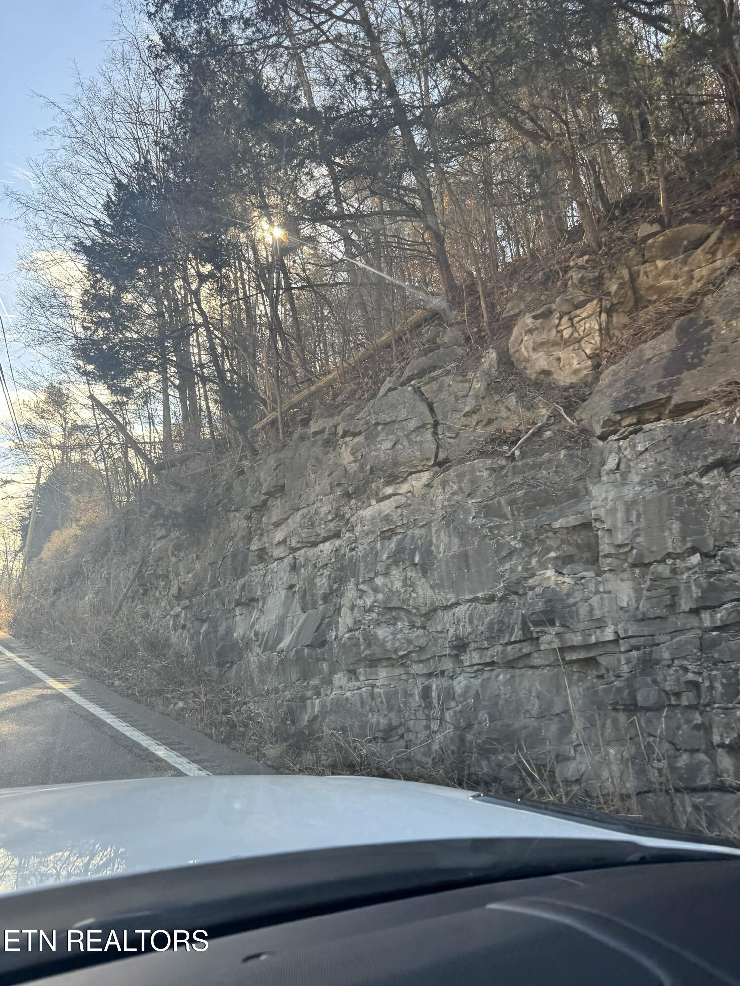 Molly Hollow Road New Tazewell TN 37825