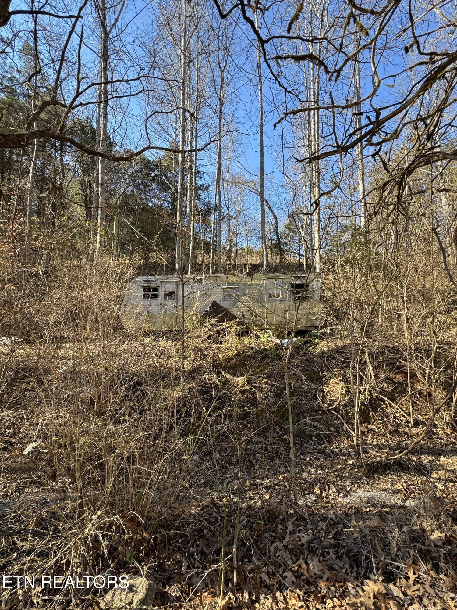 Molly Hollow Road New Tazewell TN 37825