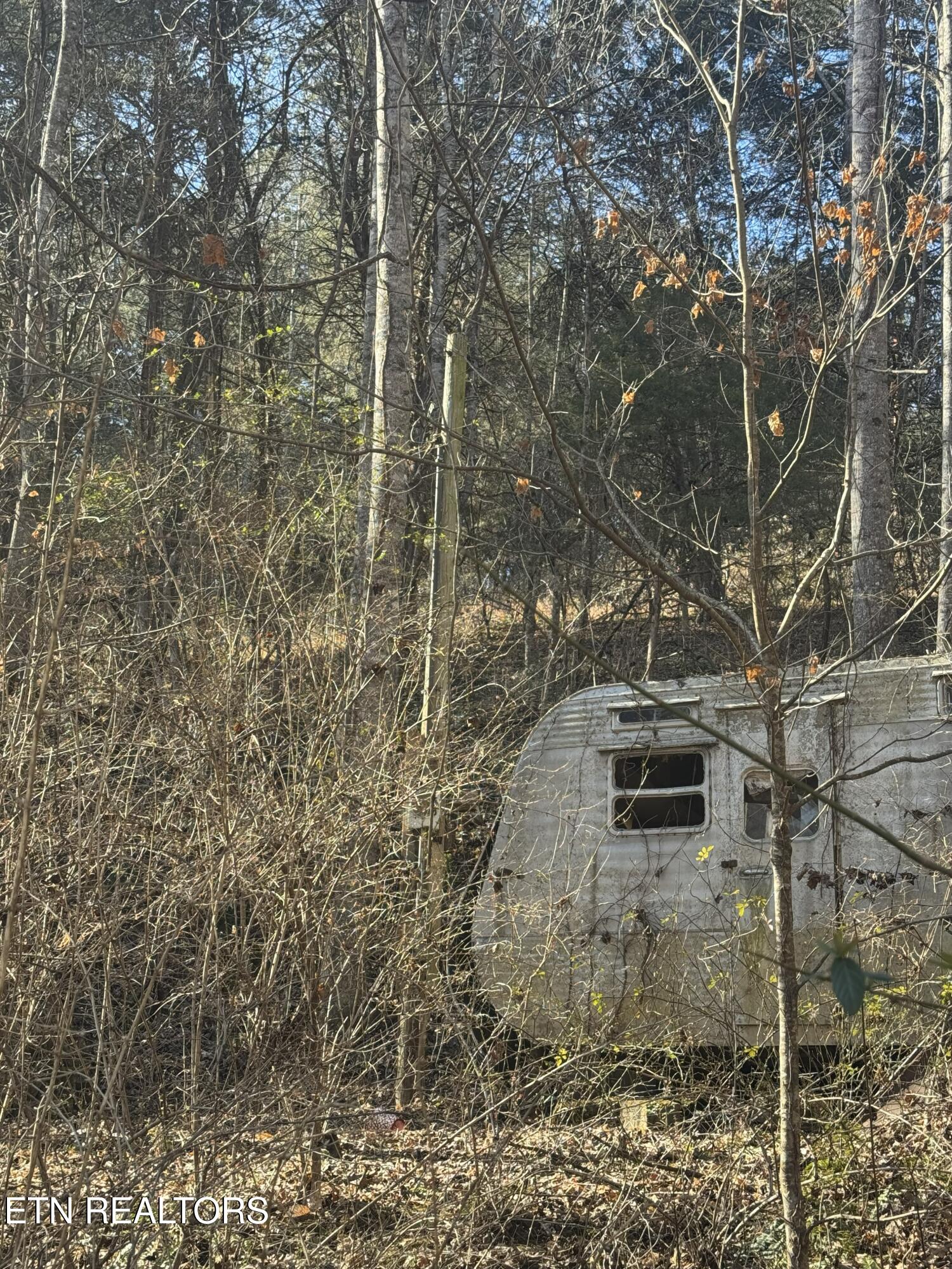 Molly Hollow Road New Tazewell TN 37825