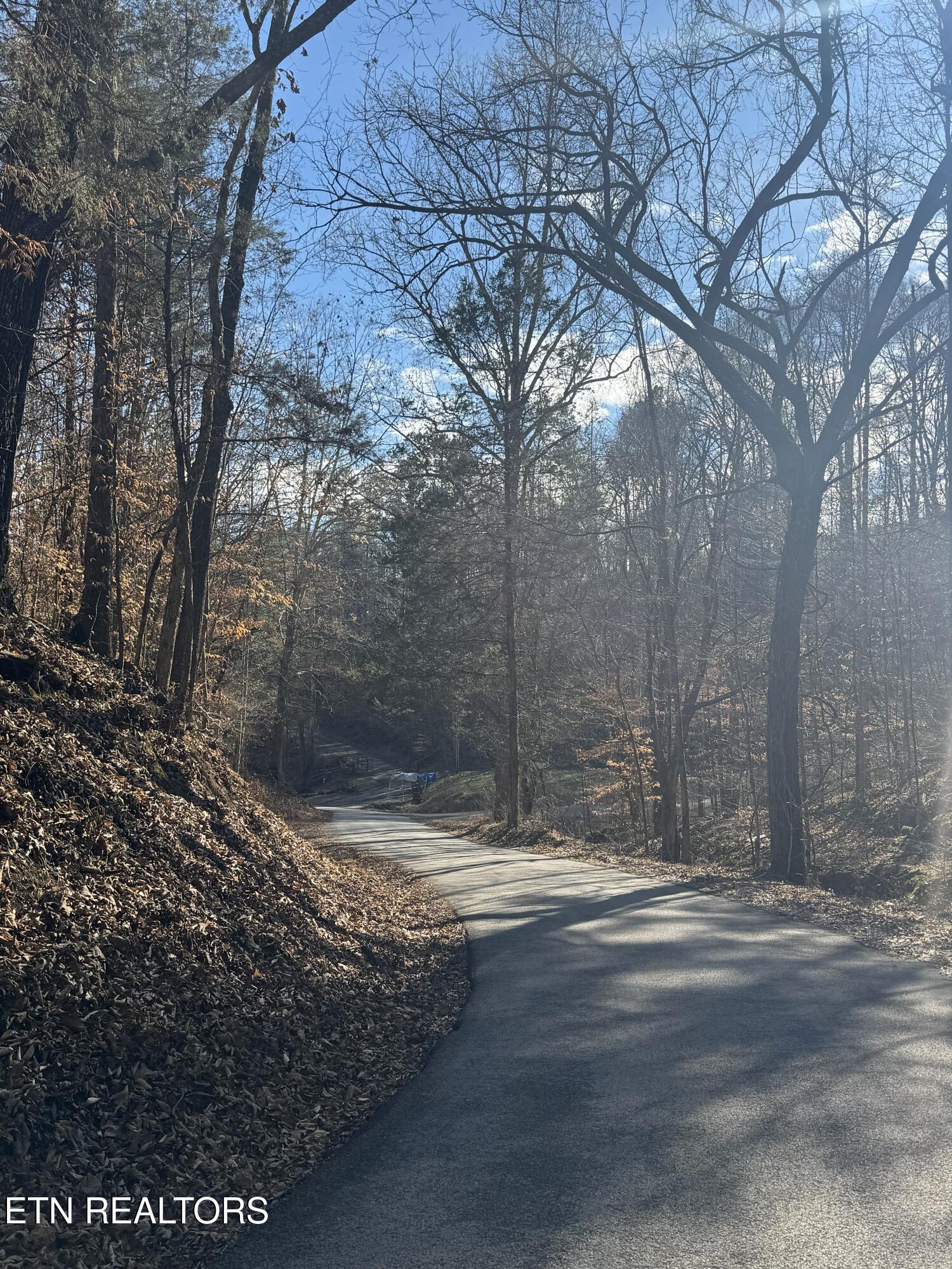 Molly Hollow Road New Tazewell TN 37825
