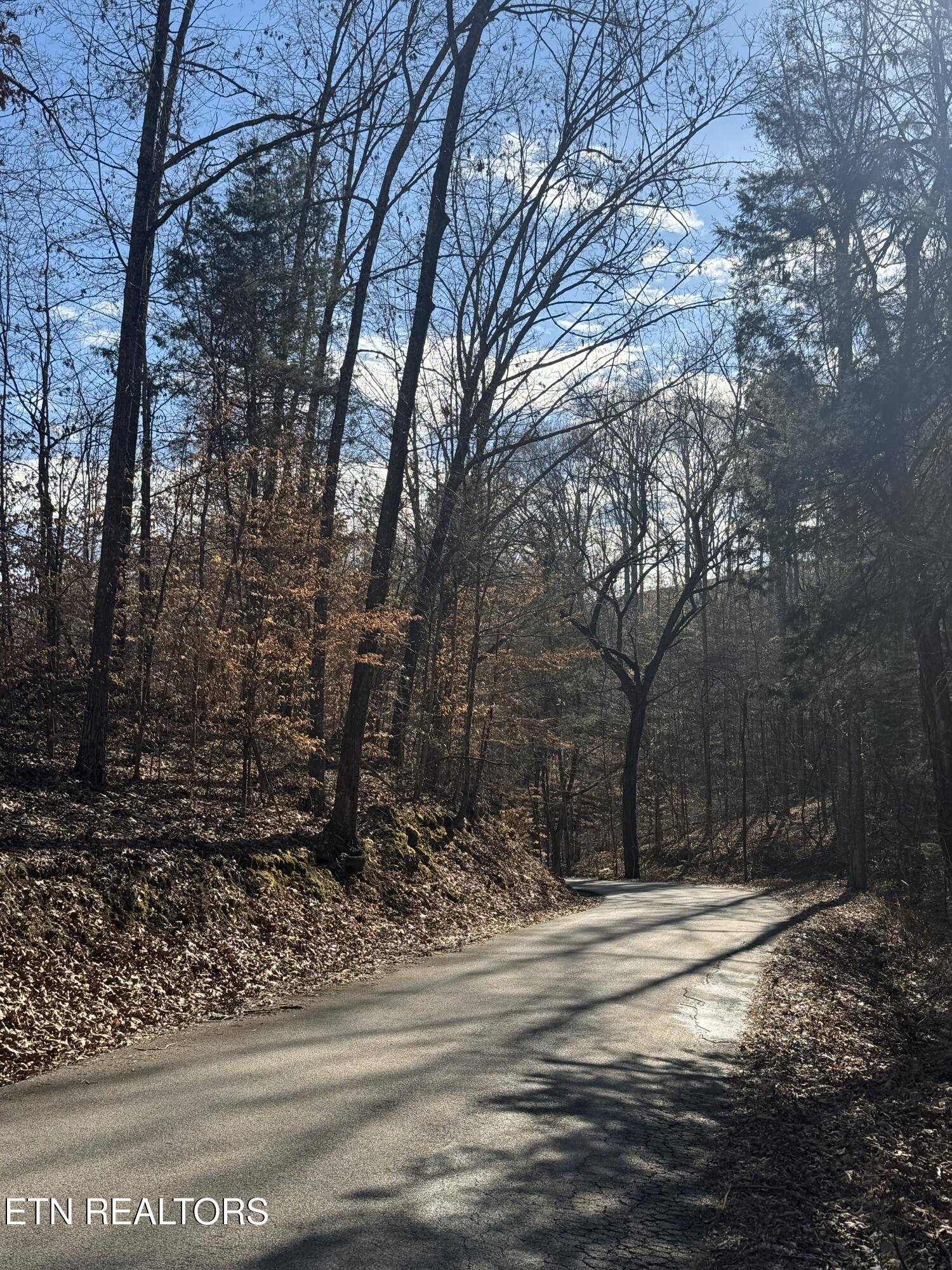 Molly Hollow Road New Tazewell TN 37825