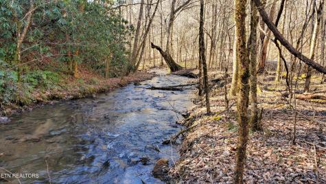 1968 E Millers Cove Road Walland TN 37886