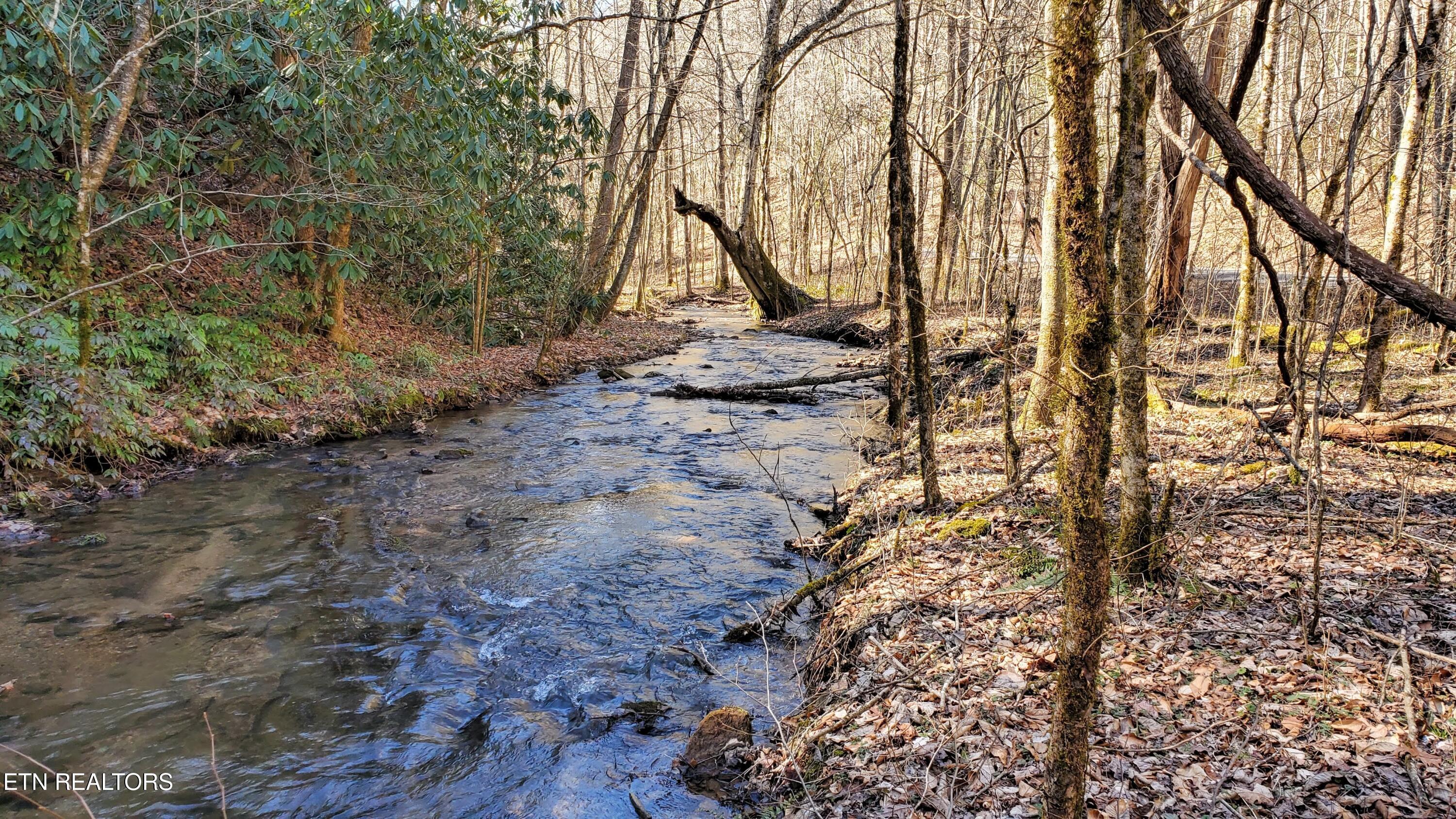 1968 E Millers Cove Road Walland TN 37886