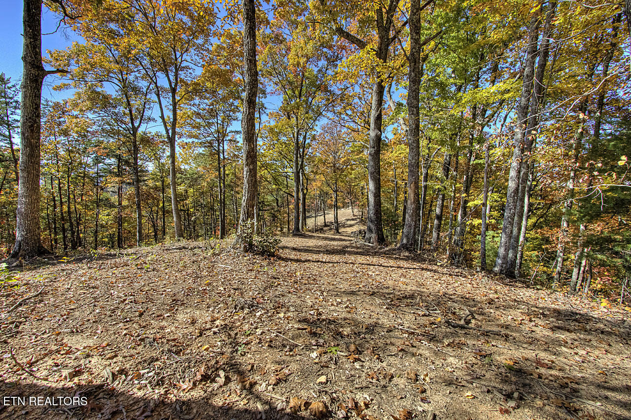 1968 E Millers Cove Road Walland TN 37886