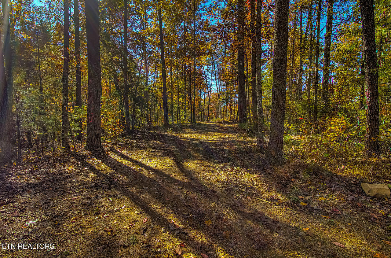 1968 E Millers Cove Road Walland TN 37886