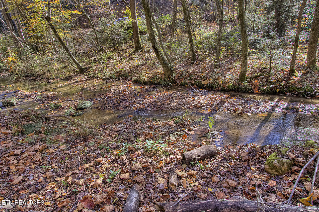 1968 E Millers Cove Road Walland TN 37886