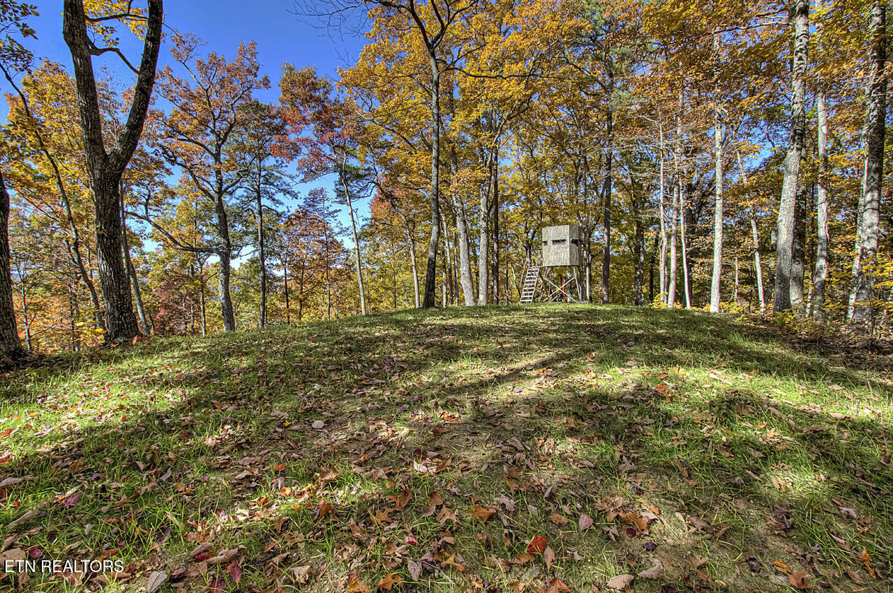 1968 E Millers Cove Road Walland TN 37886