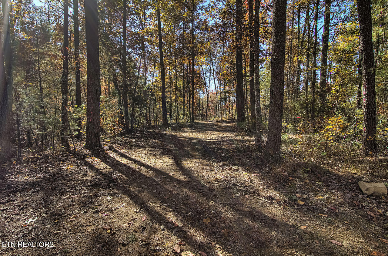 1968 E Millers Cove Road Walland TN 37886