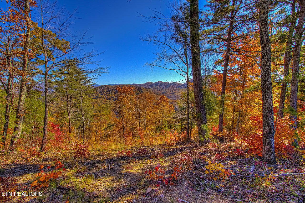 1968 E Millers Cove Road Walland TN 37886