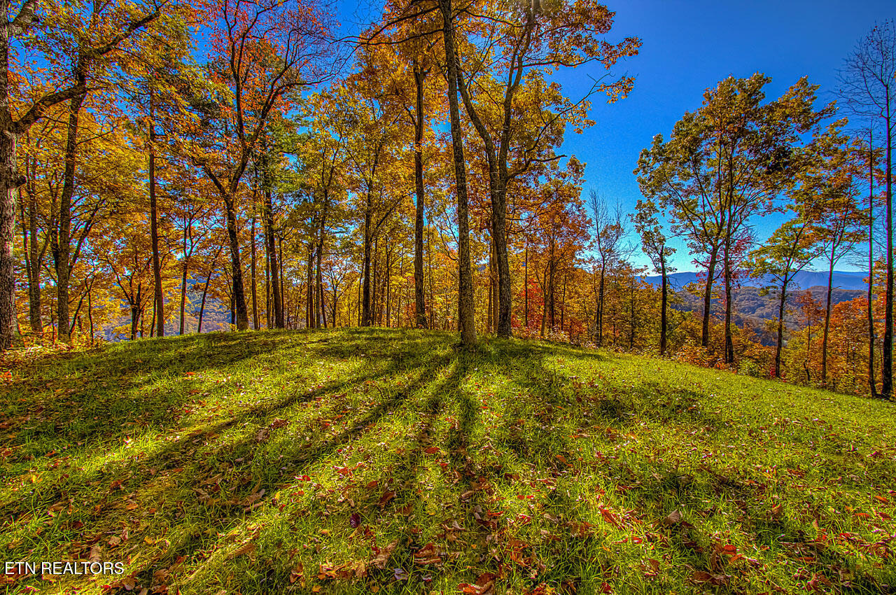 1968 E Millers Cove Road Walland TN 37886