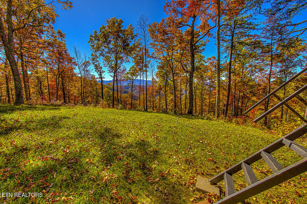 1968 E Millers Cove Road Walland TN 37886