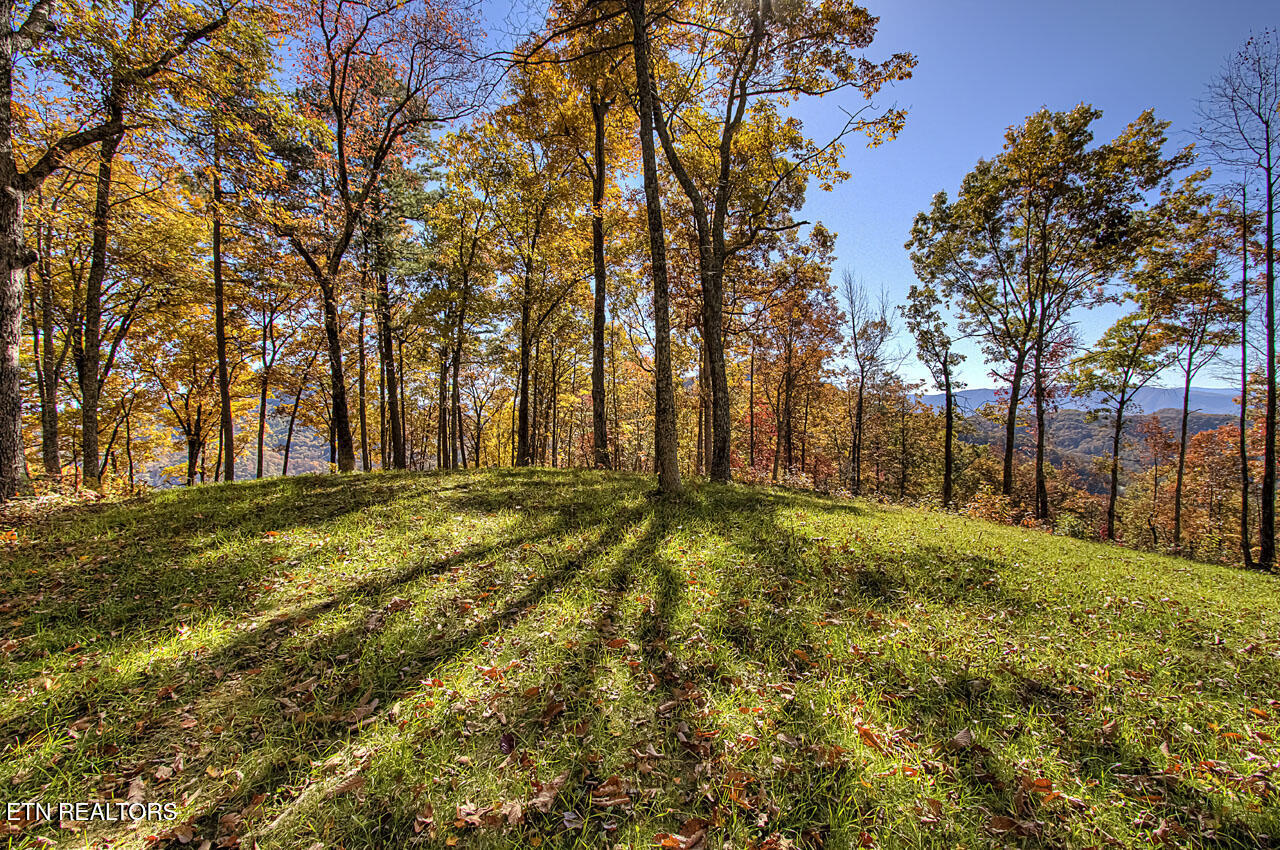1968 E Millers Cove Road Walland TN 37886