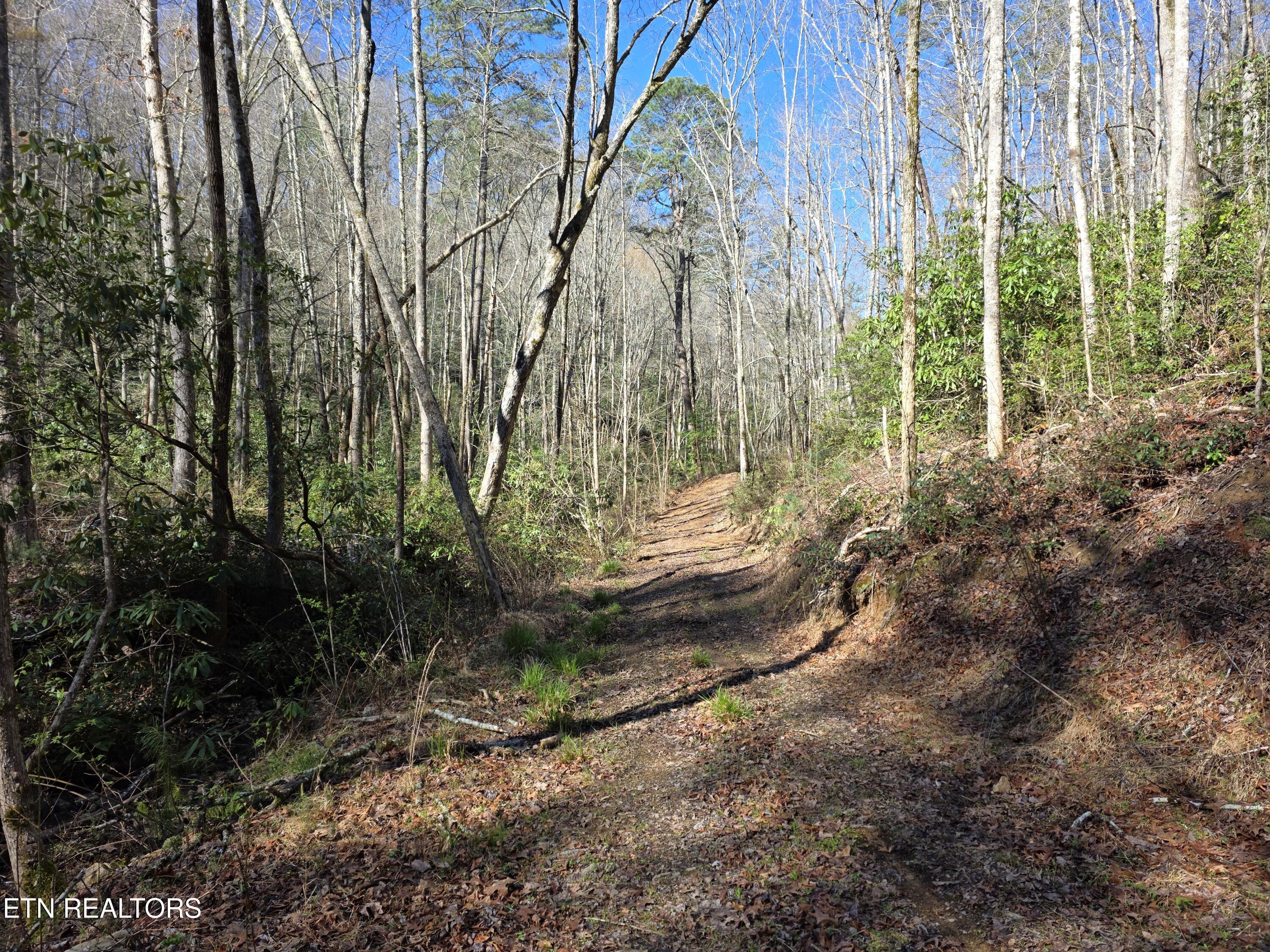 1968 E Millers Cove Road Walland TN 37886
