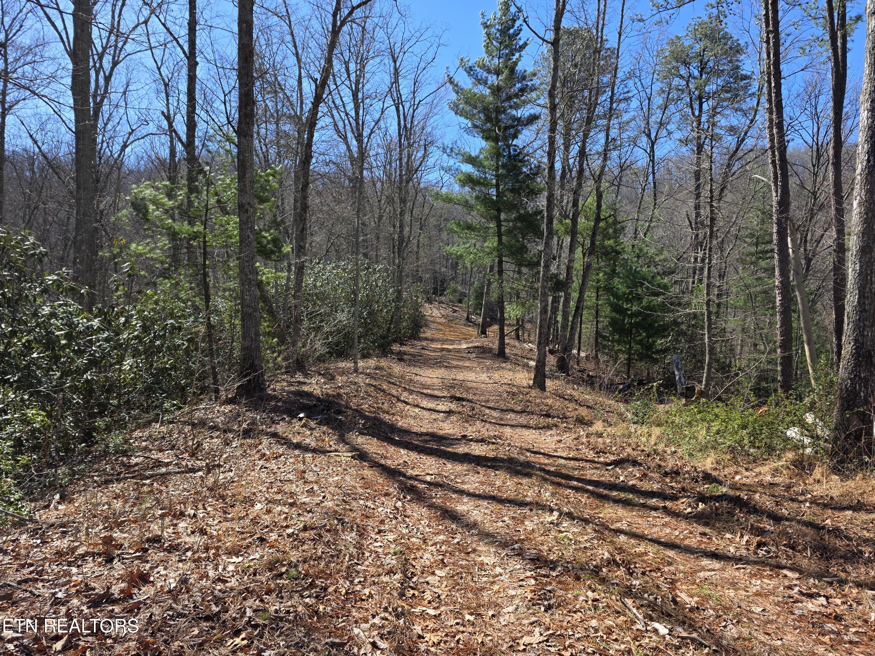1968 E Millers Cove Road Walland TN 37886