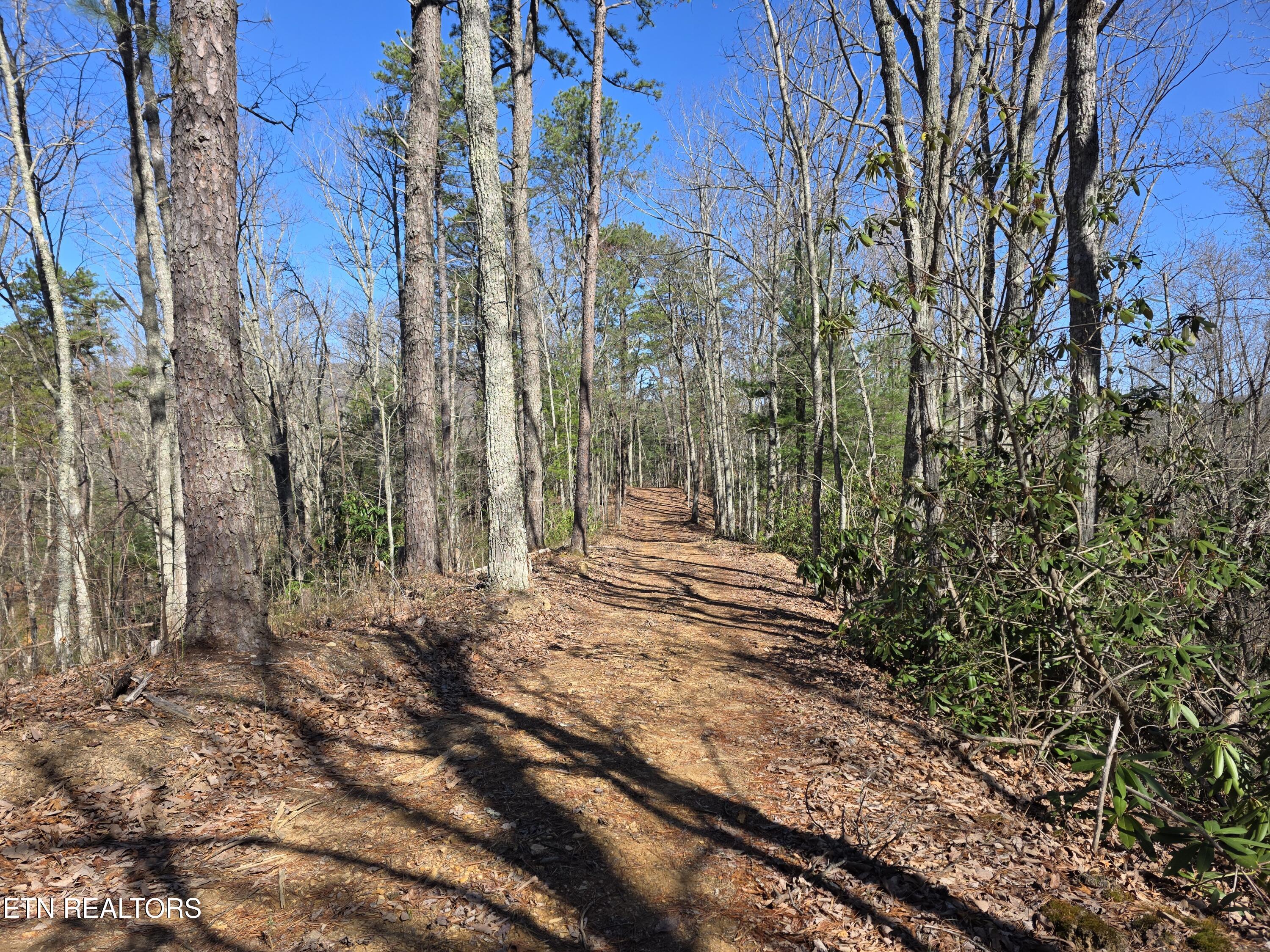 1968 E Millers Cove Road Walland TN 37886