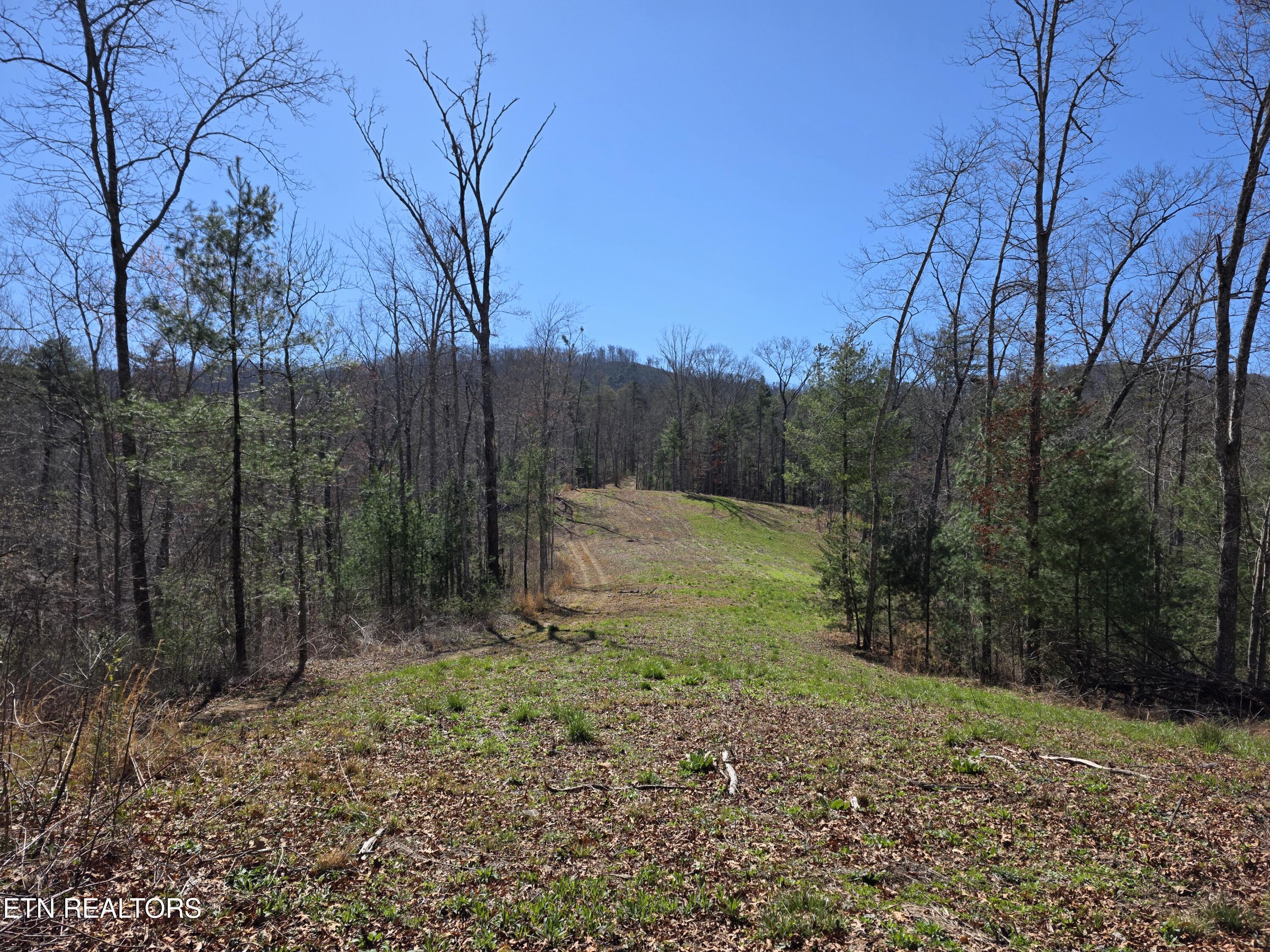 1968 E Millers Cove Road Walland TN 37886