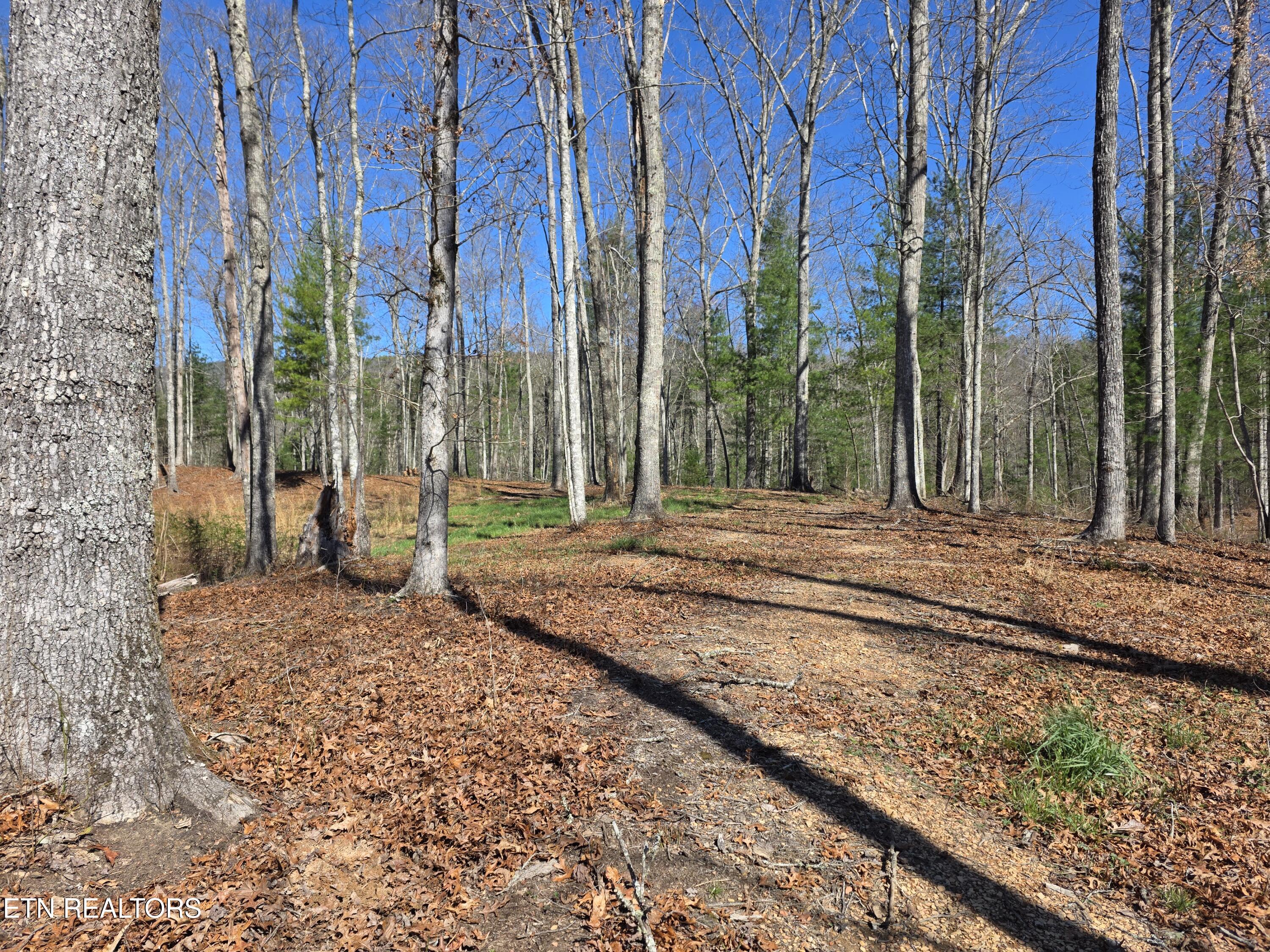 1968 E Millers Cove Road Walland TN 37886