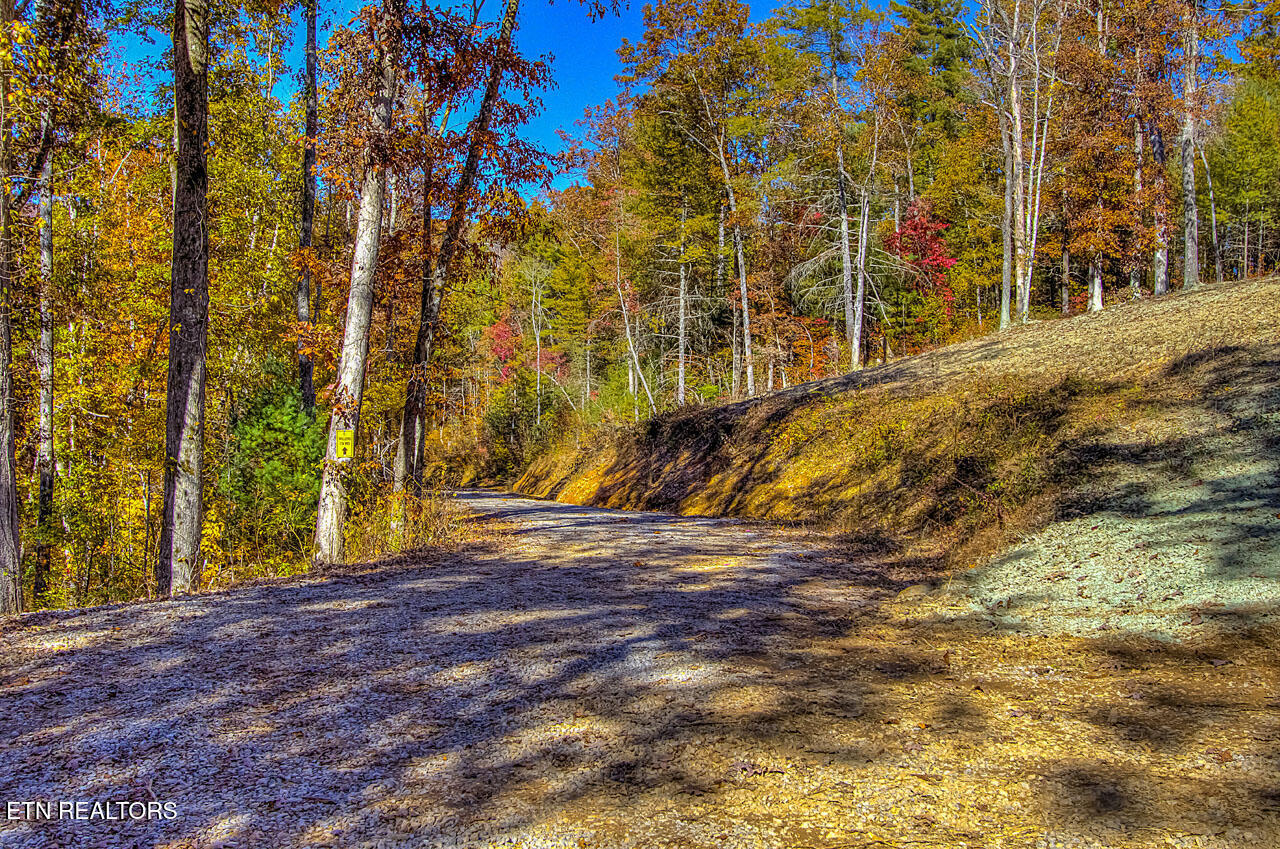1968 E Millers Cove Road Walland TN 37886
