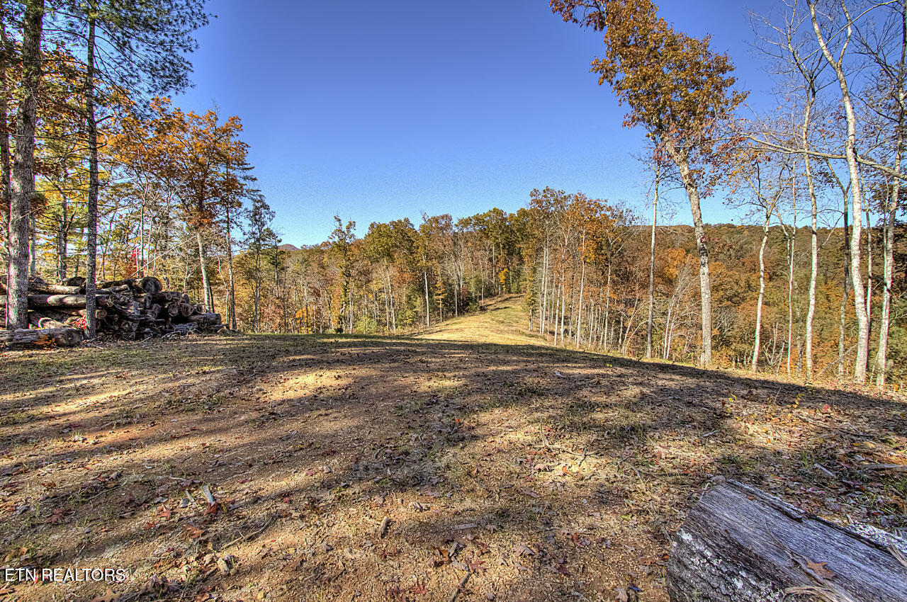1968 E Millers Cove Road Walland TN 37886
