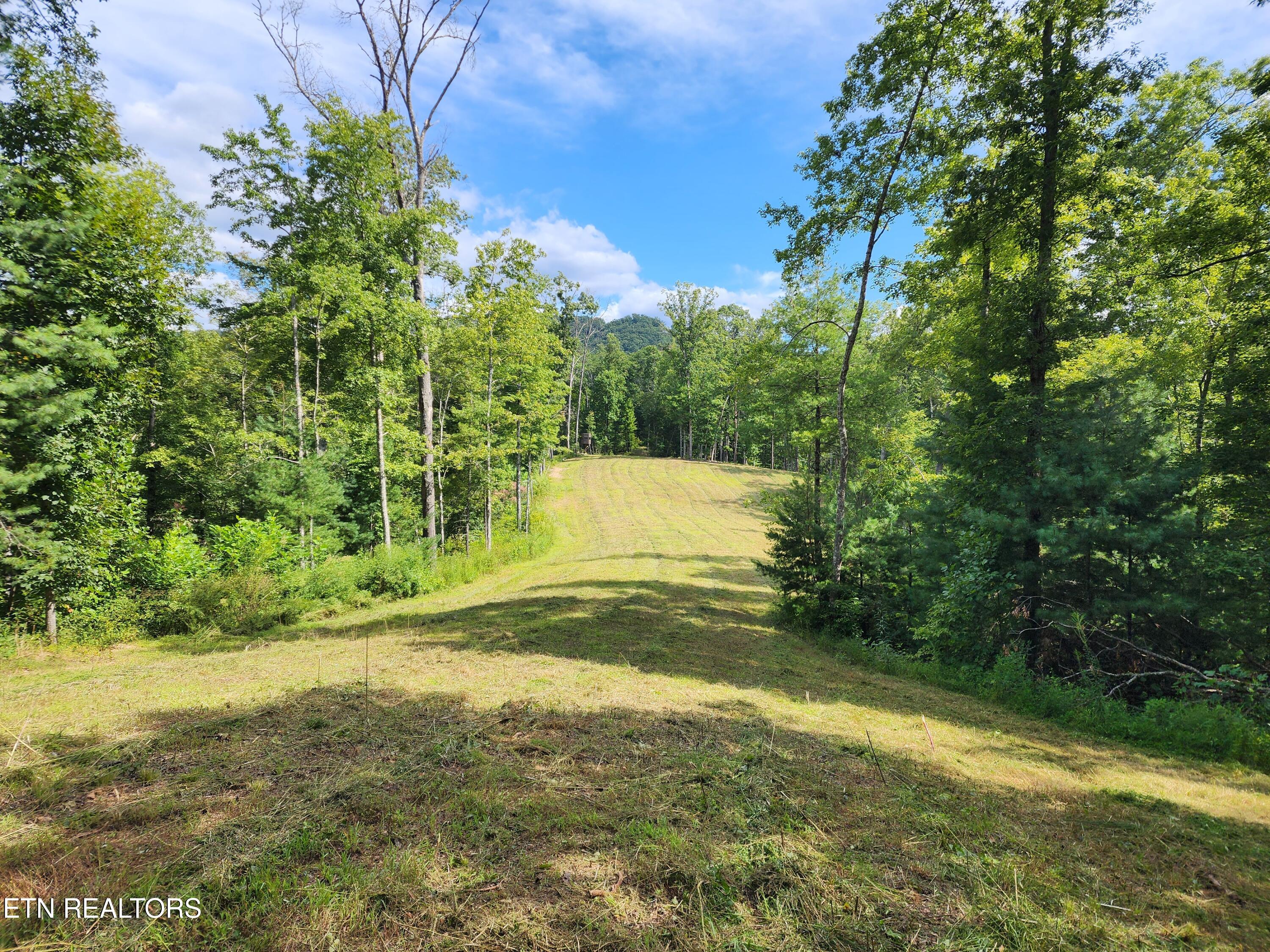 1968 E Millers Cove Road Walland TN 37886
