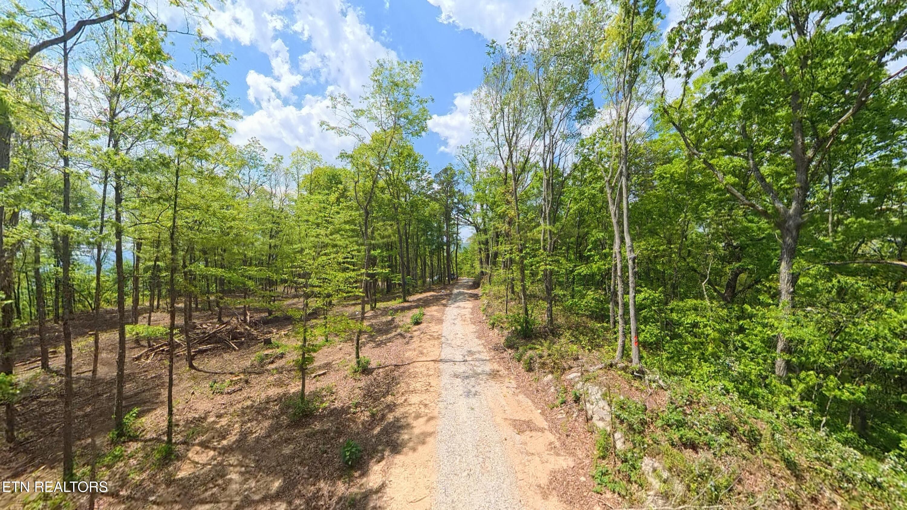227 Eagle View Lane Jacksboro TN 37757